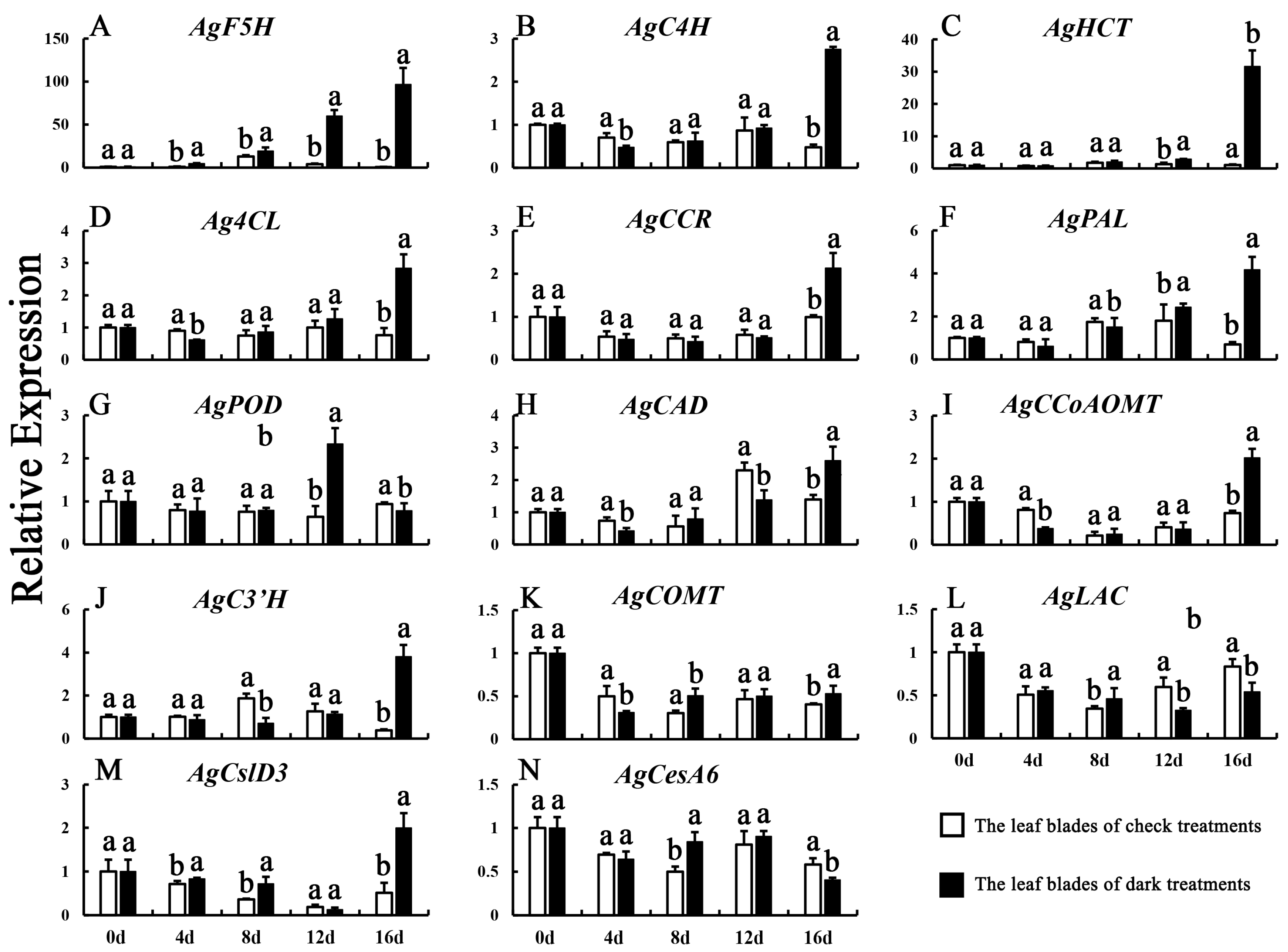 Agronomy 14 00896 g007