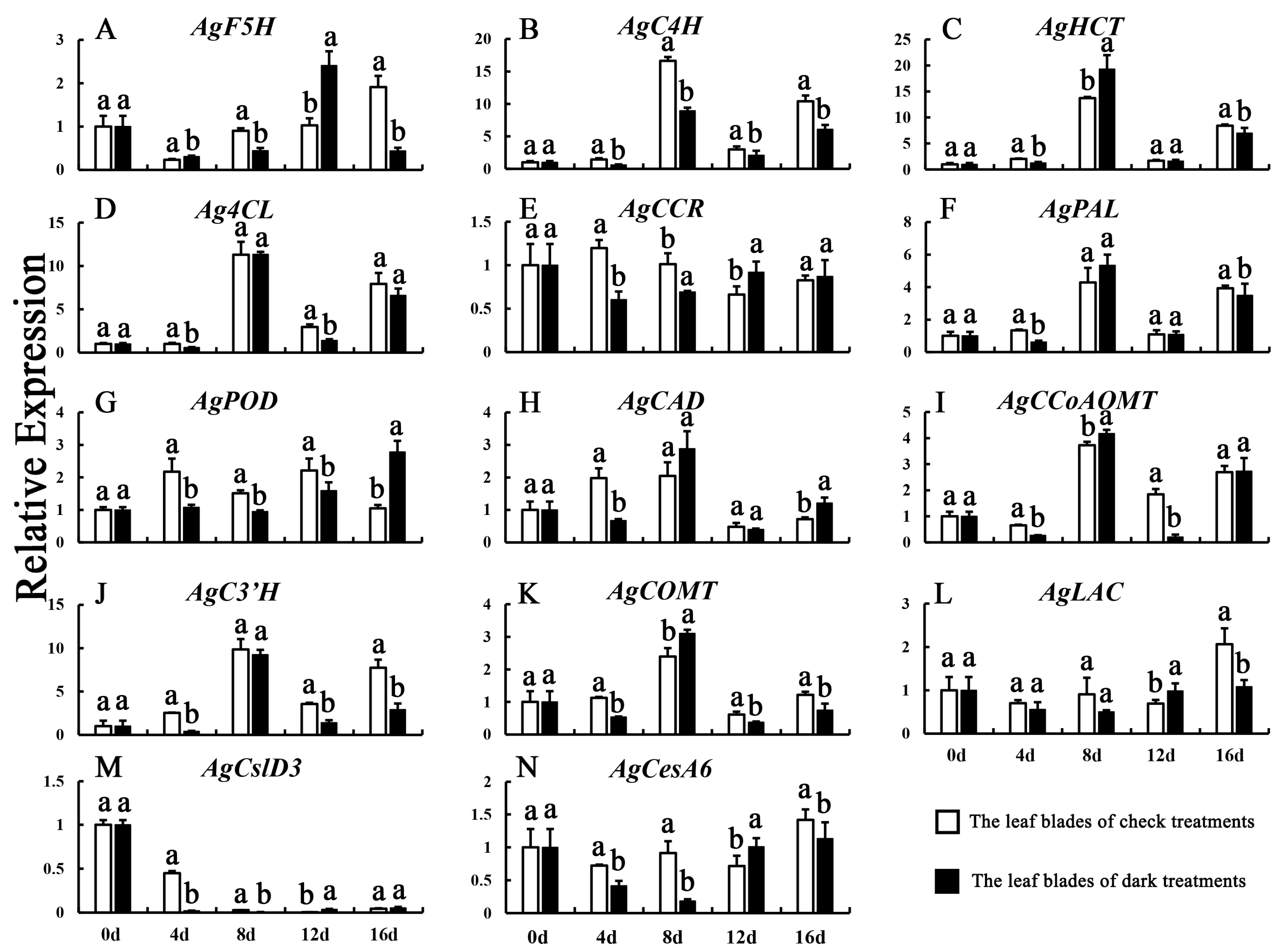 Agronomy 14 00896 g008
