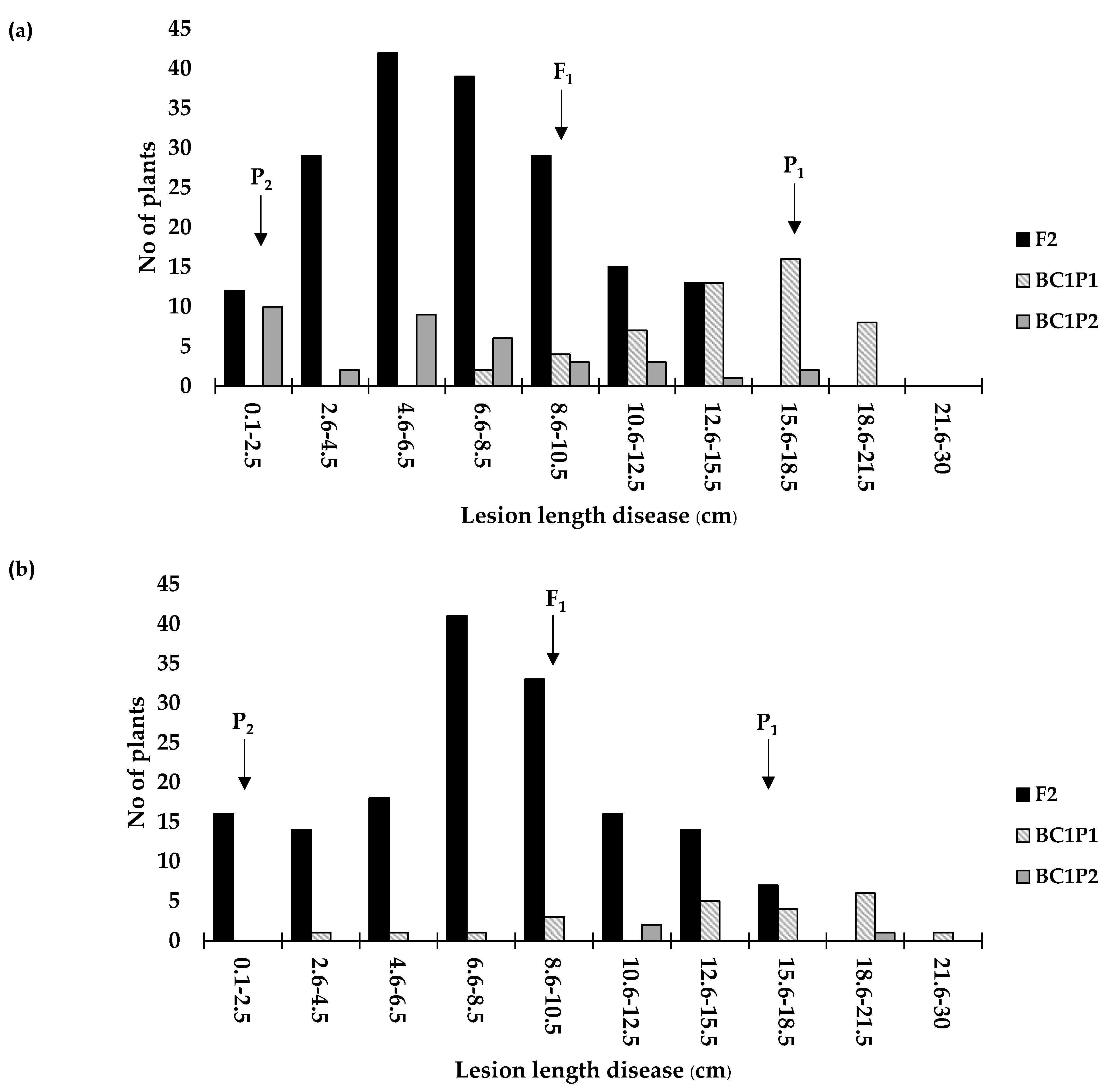 Agronomy 14 00898 g004