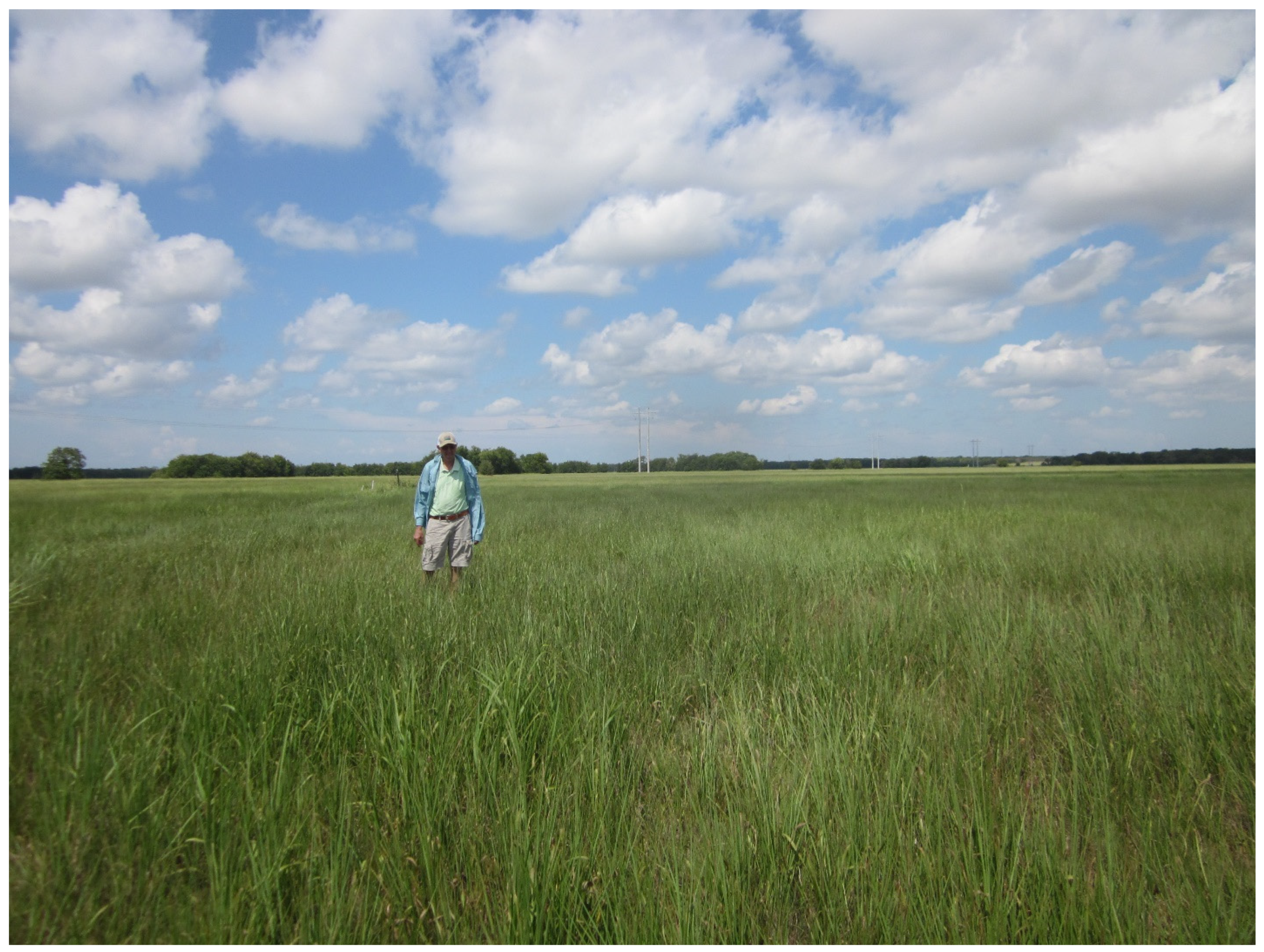 Agronomy 14 00907 g001