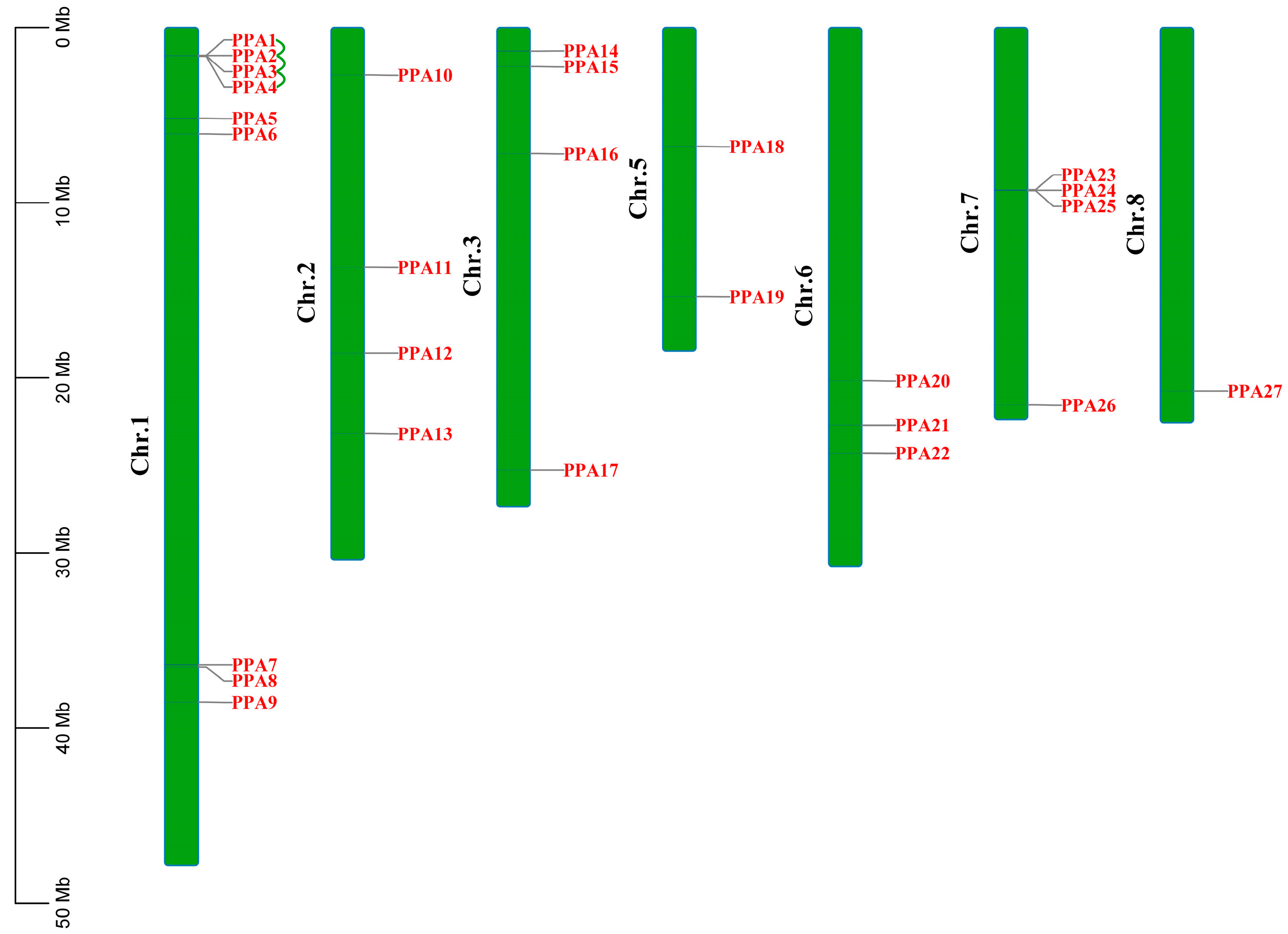 Agronomy 14 00908 g001