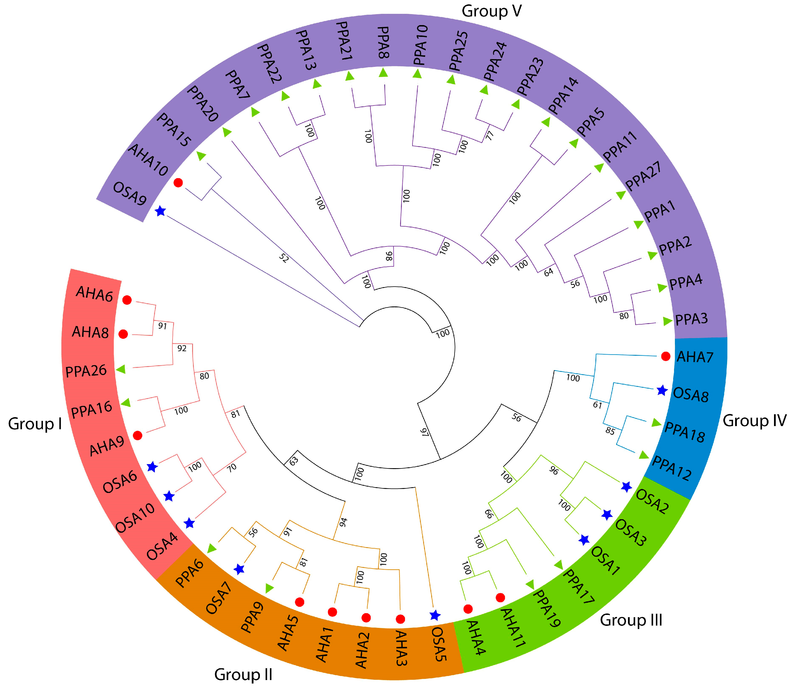 Agronomy 14 00908 g002