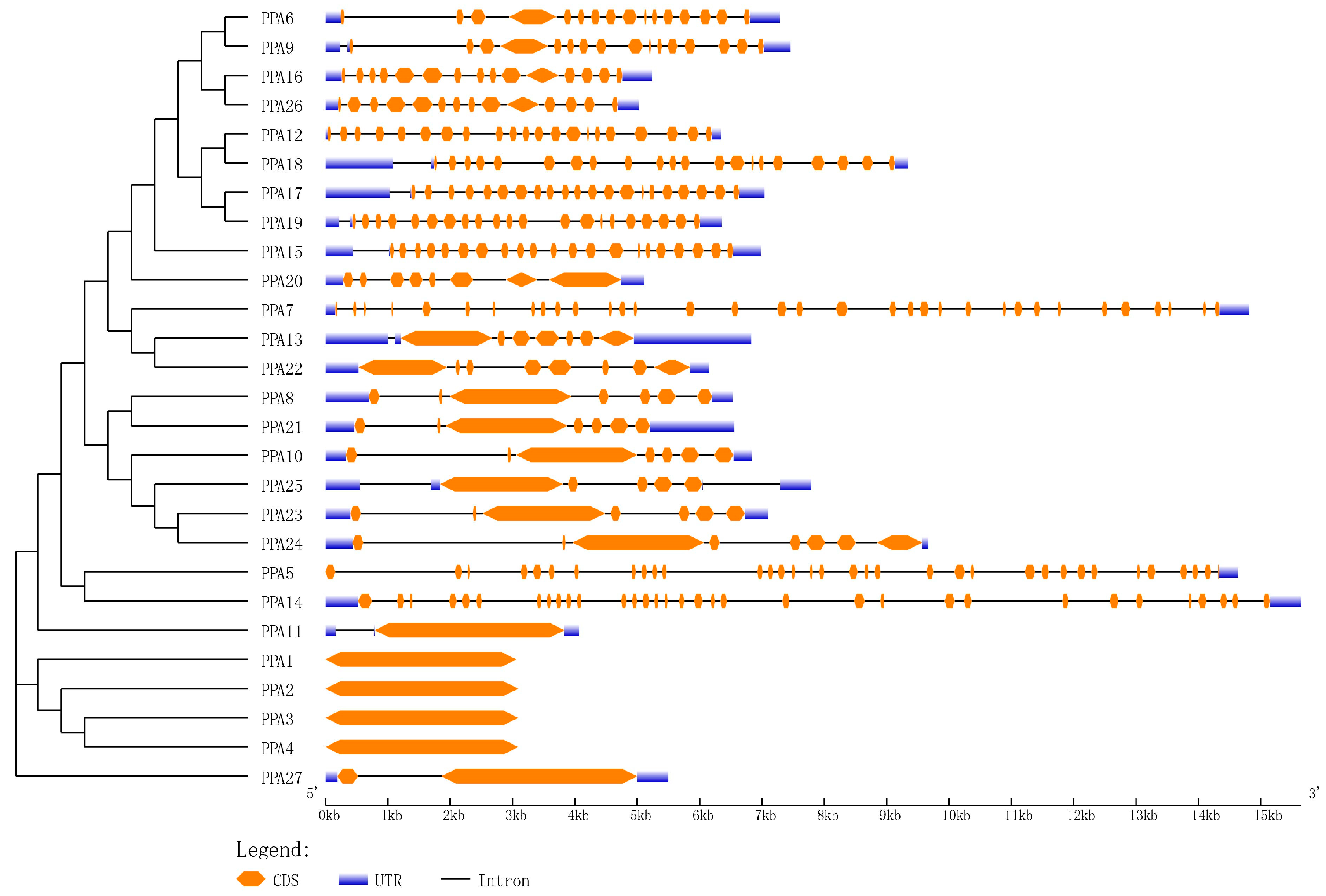 Agronomy 14 00908 g003