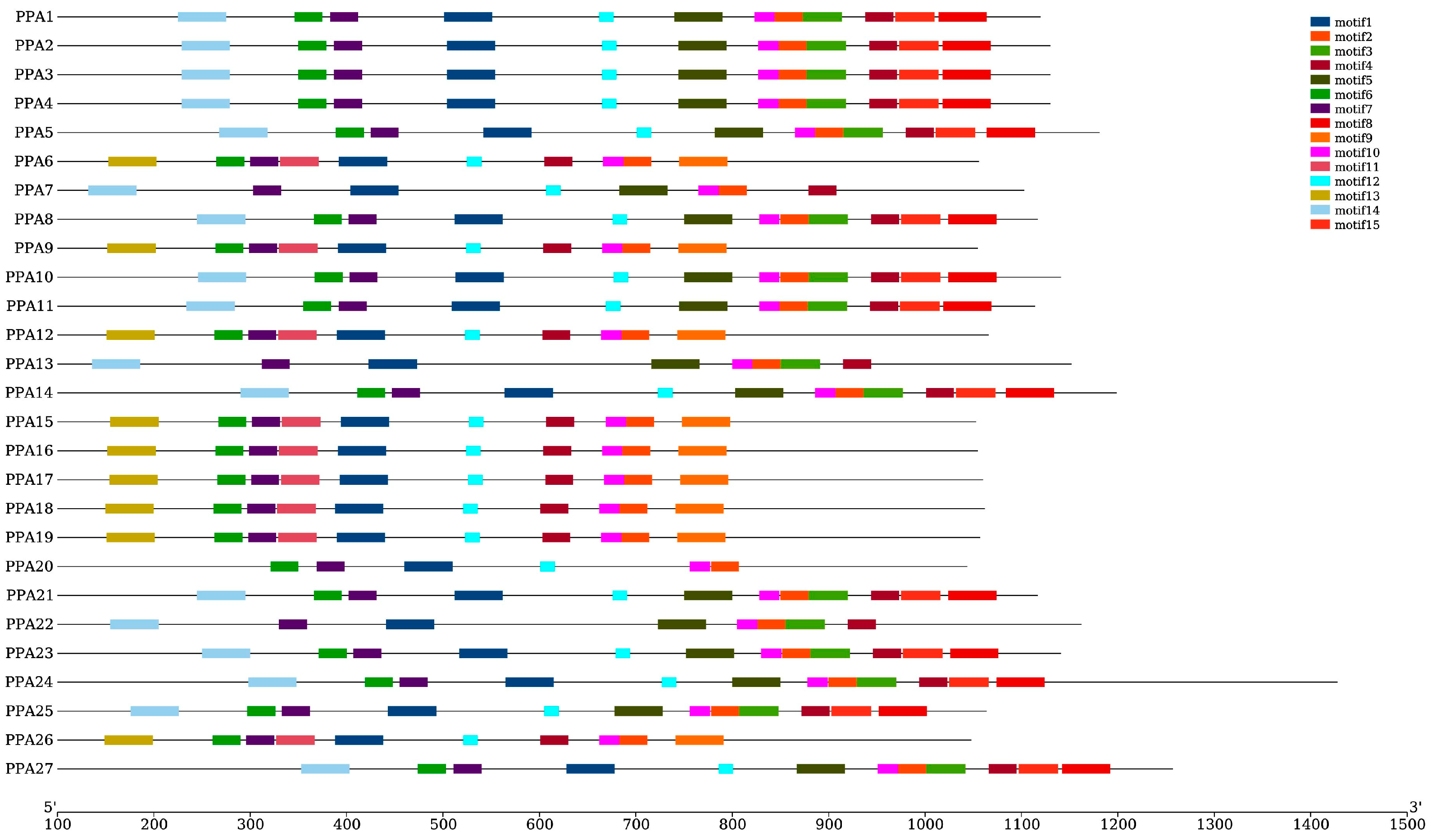 Agronomy 14 00908 g004