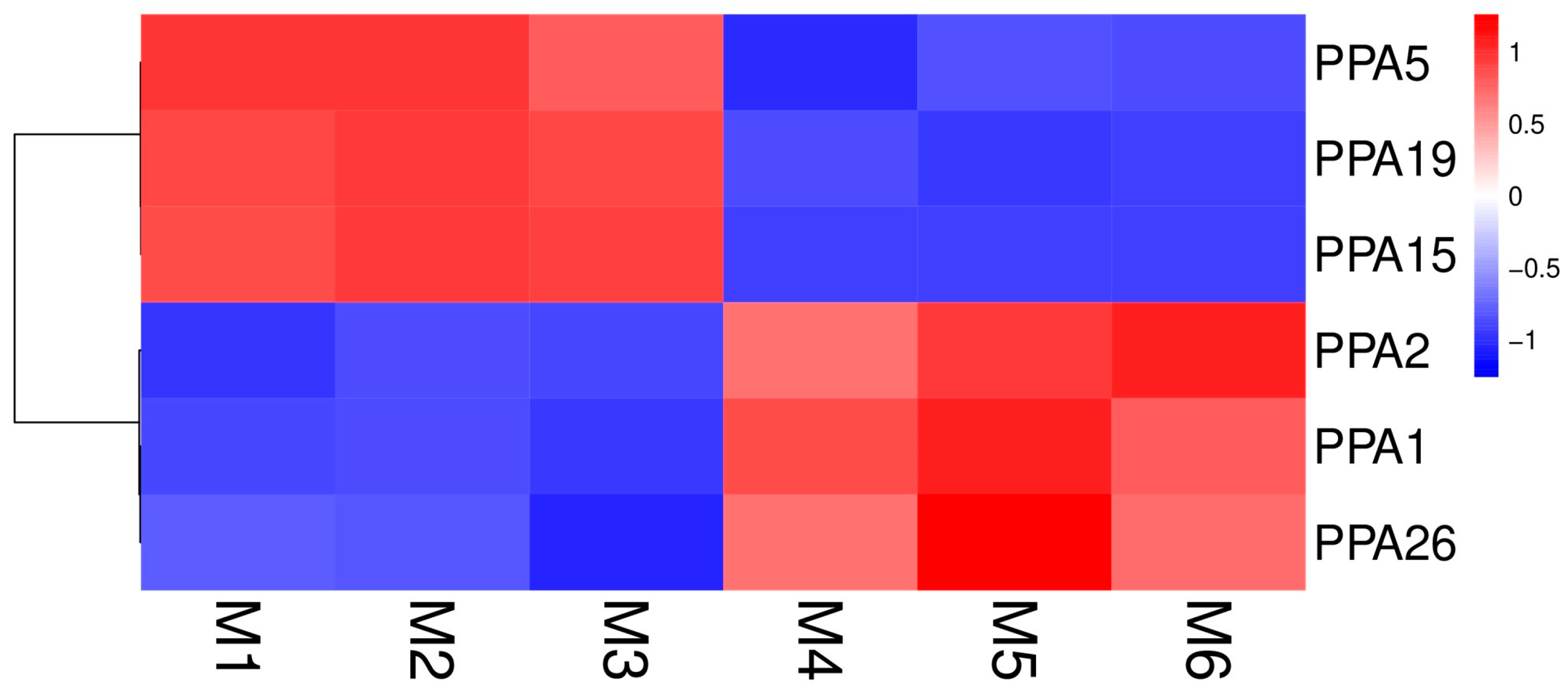 Agronomy 14 00908 g005