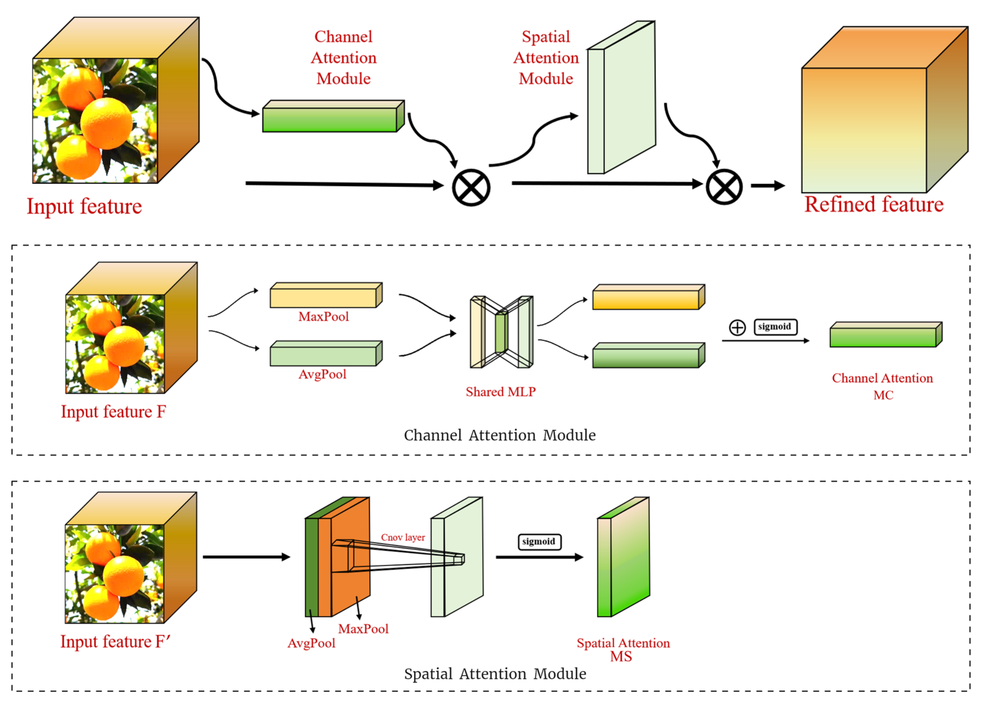 Agronomy 14 00910 g004
