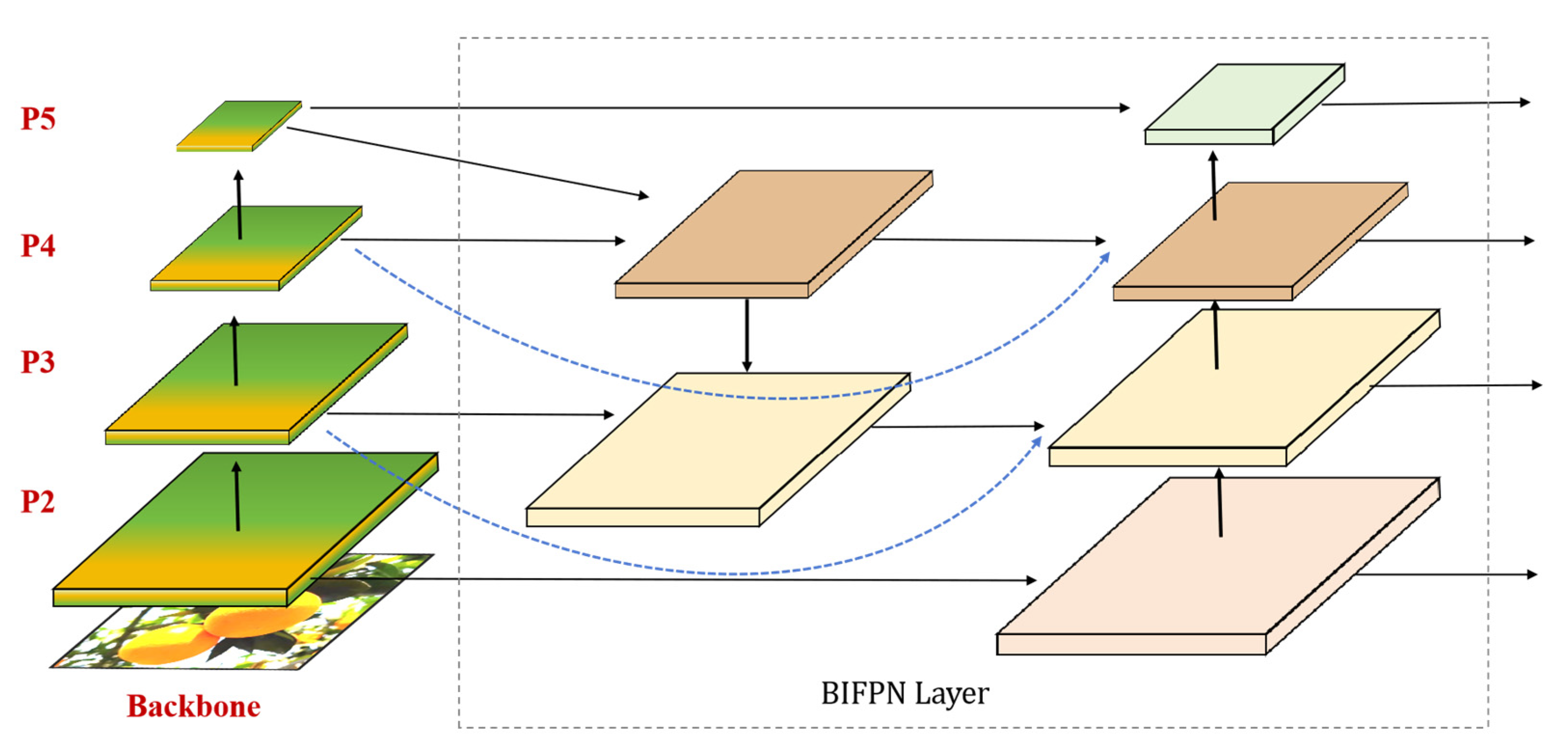 Agronomy 14 00910 g005