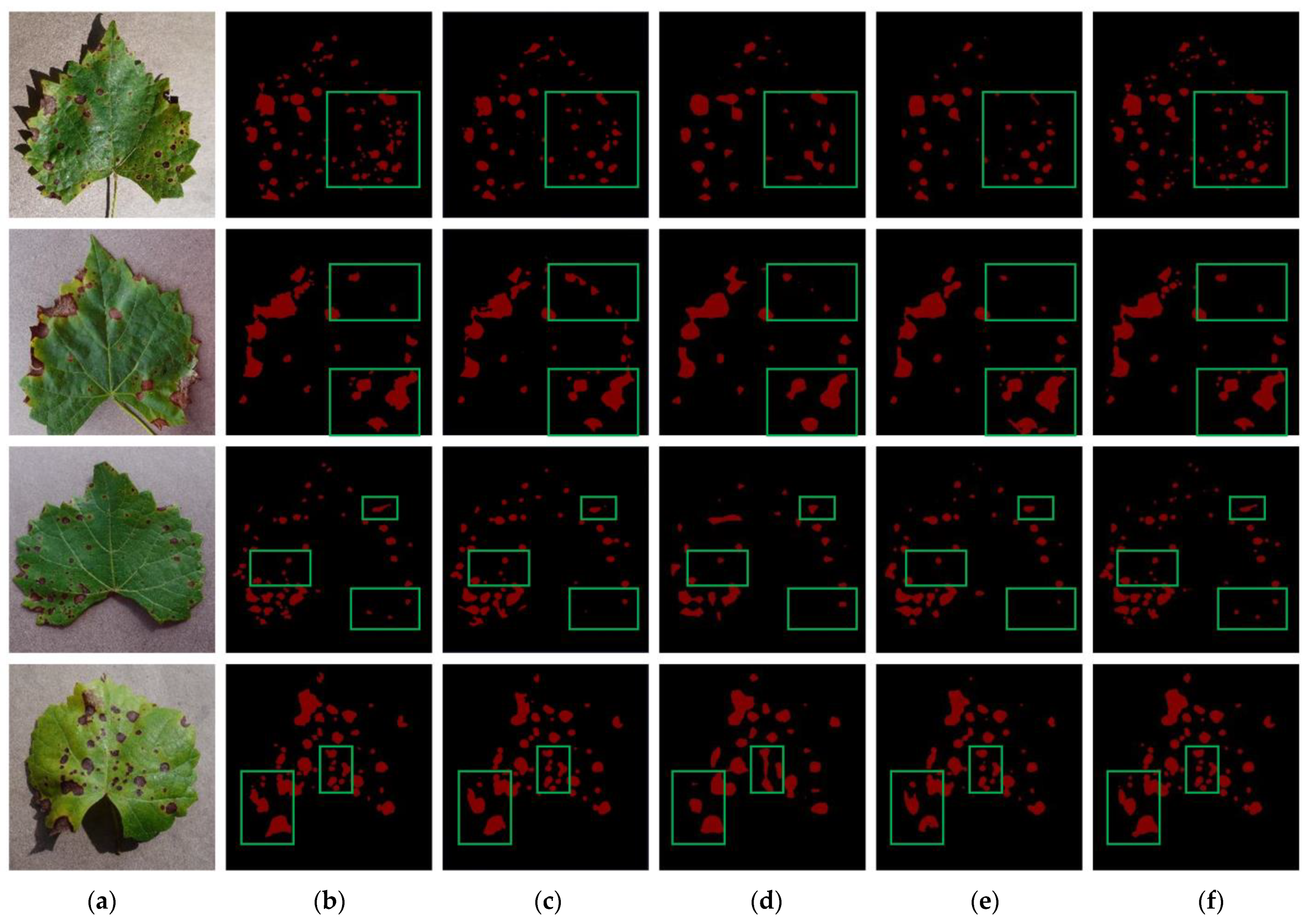 Agronomy 14 00925 g011