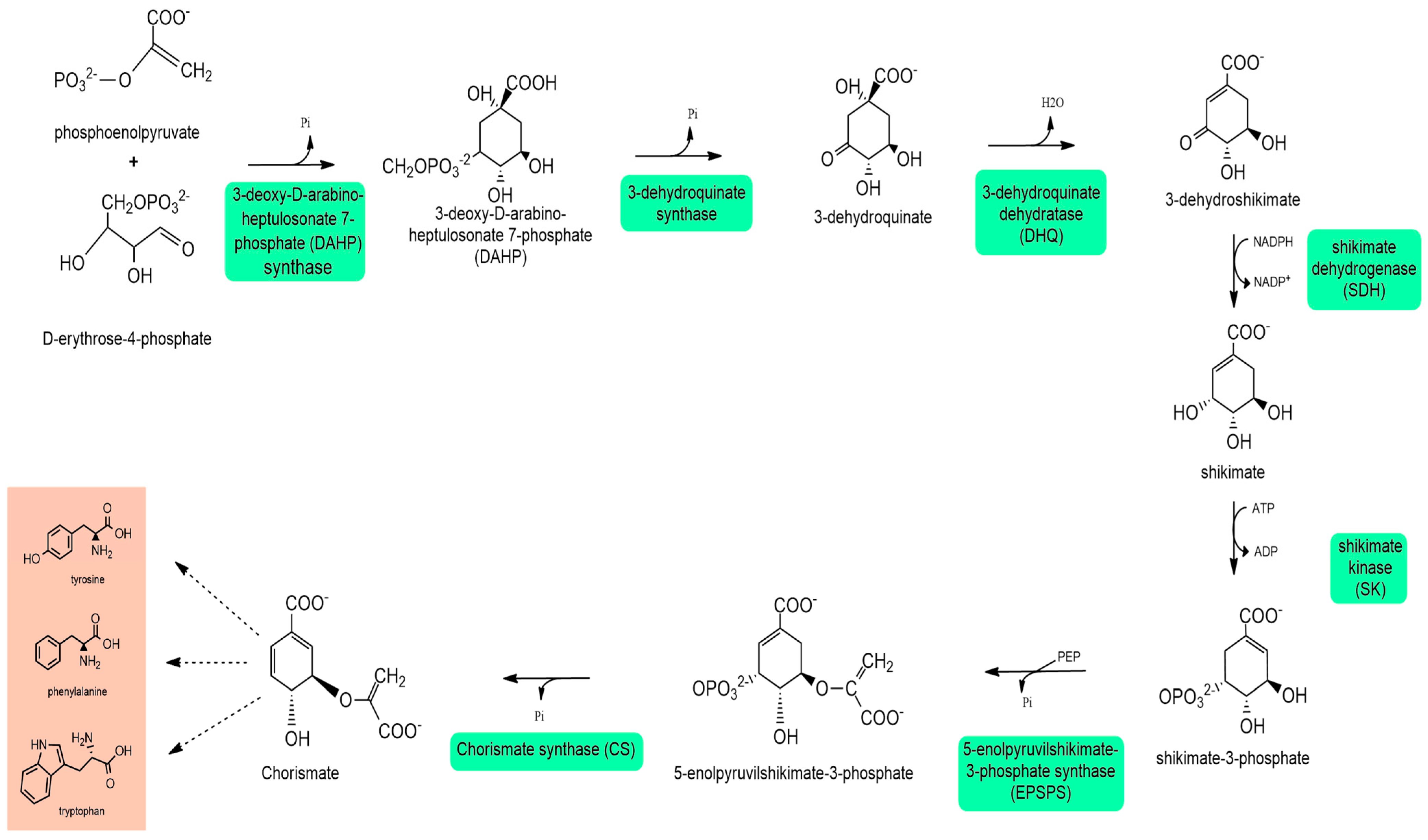 Agronomy 14 00930 g001
