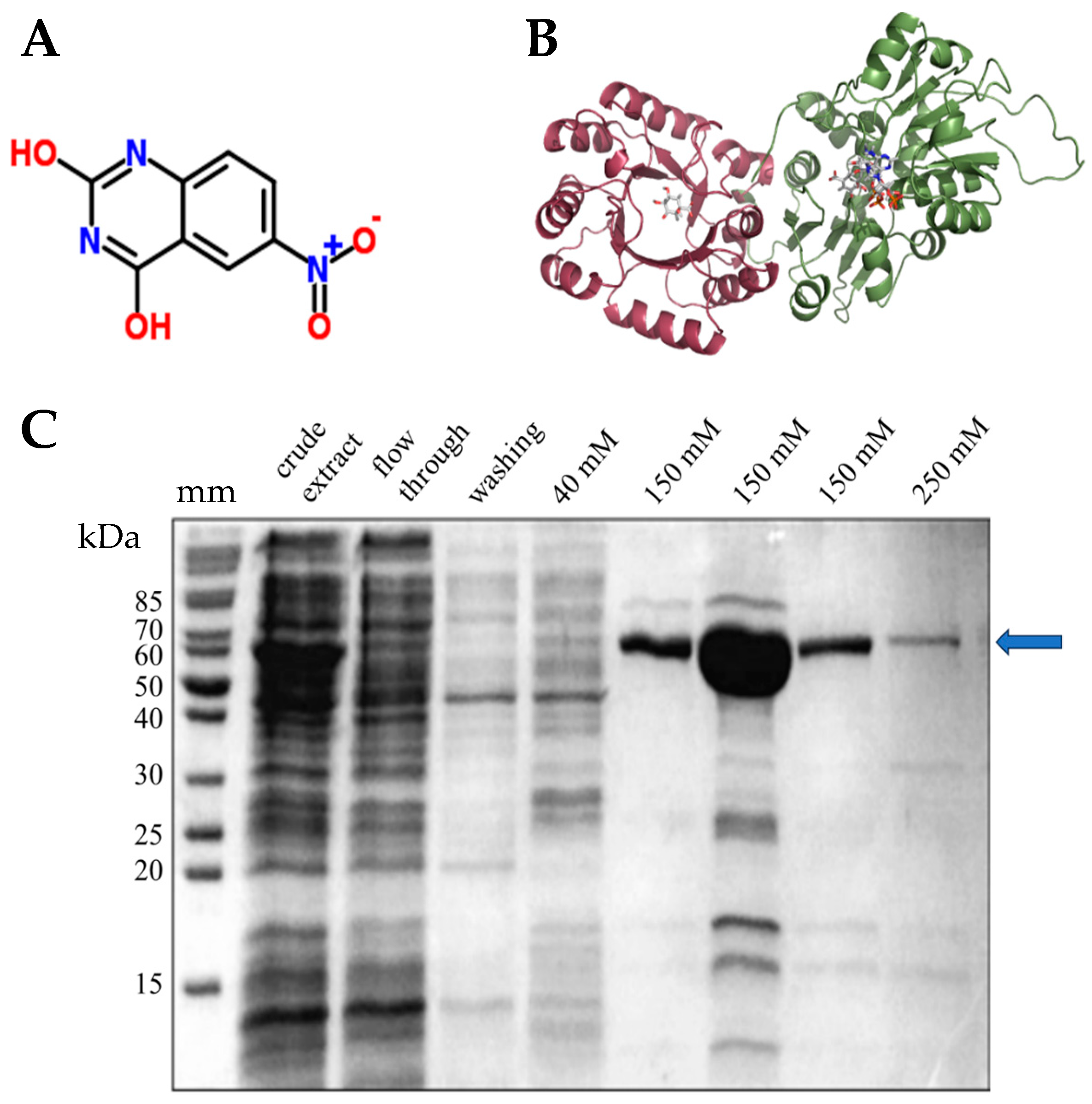 Agronomy 14 00930 g002