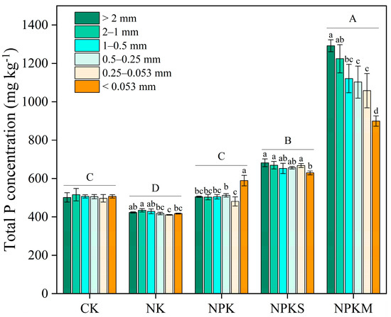 Phosphorus Distribution within Aggregates in Long-Term Fertilized