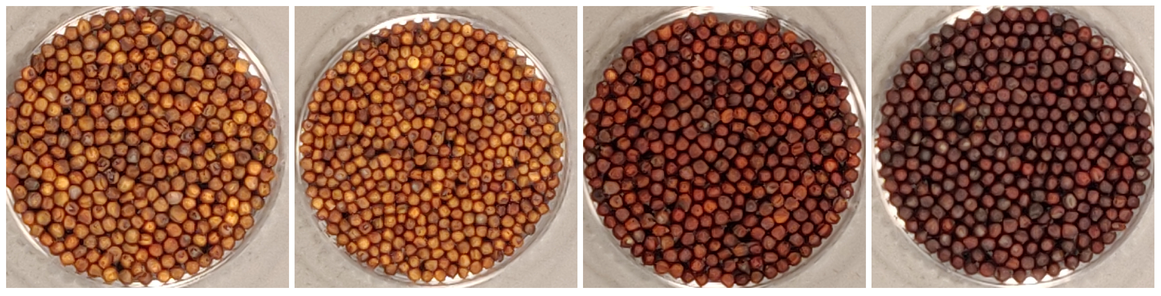 Agronomy 14 00941 g001