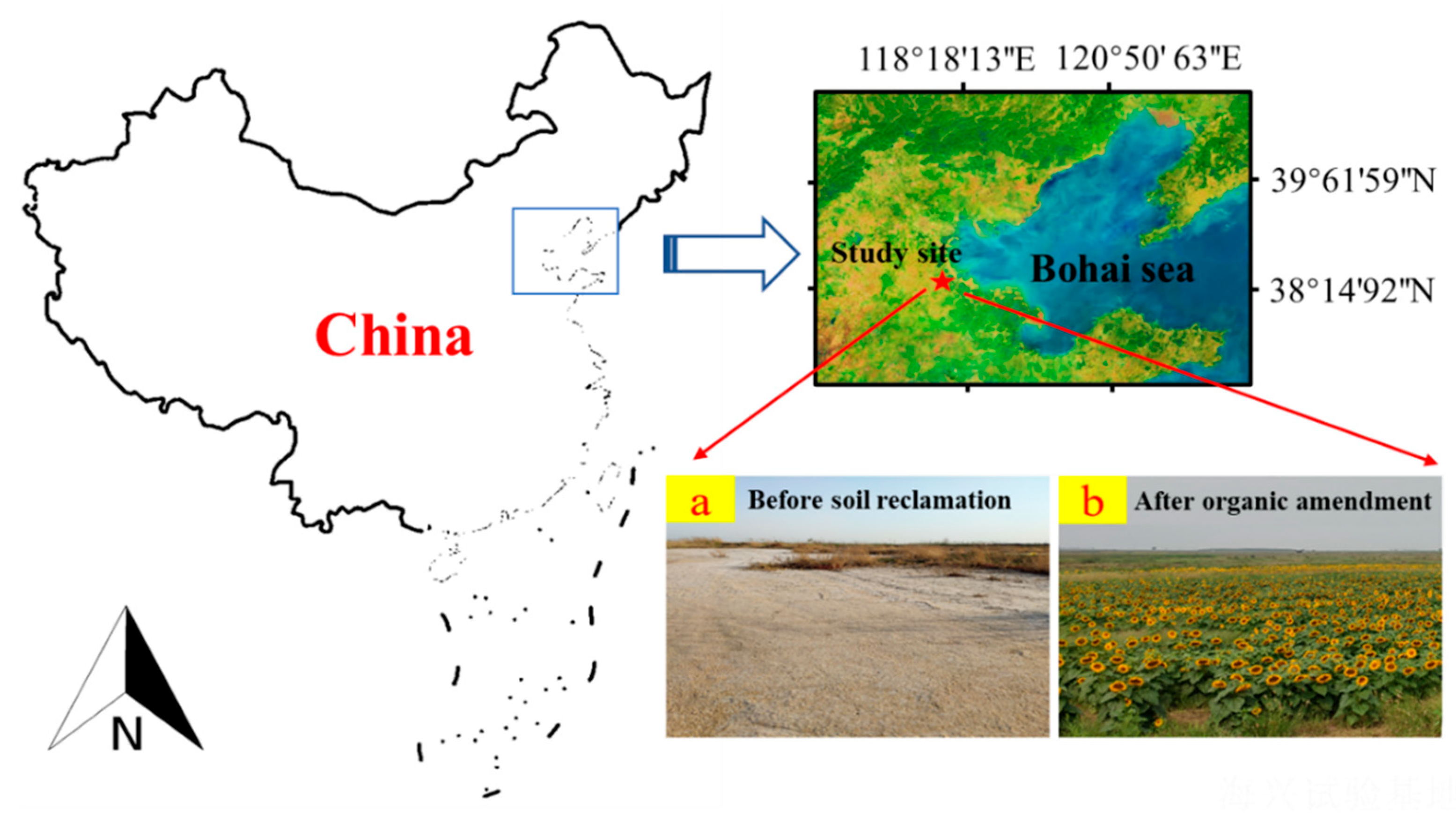 Agronomy 14 00942 g001