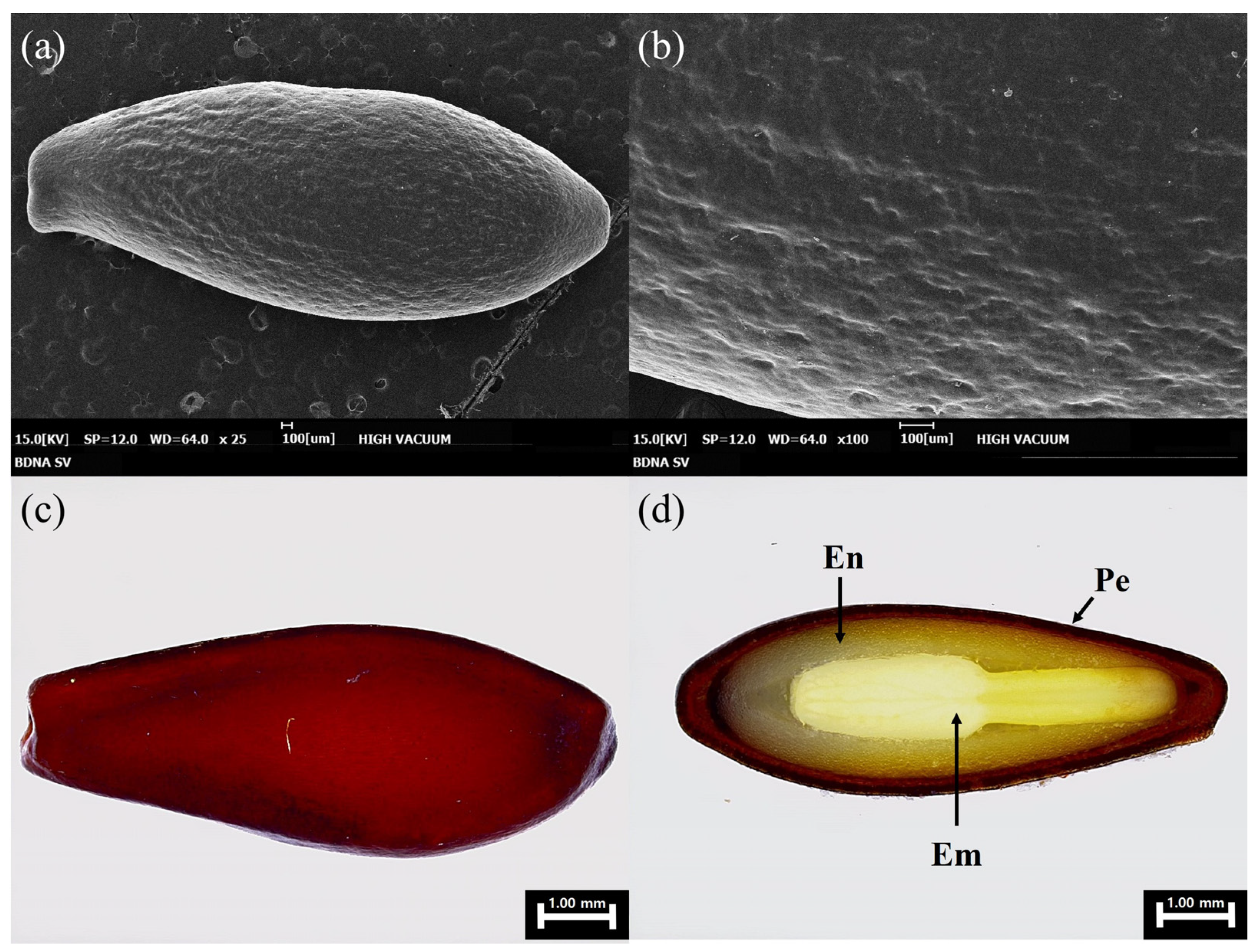 Agronomy 14 00956 g001