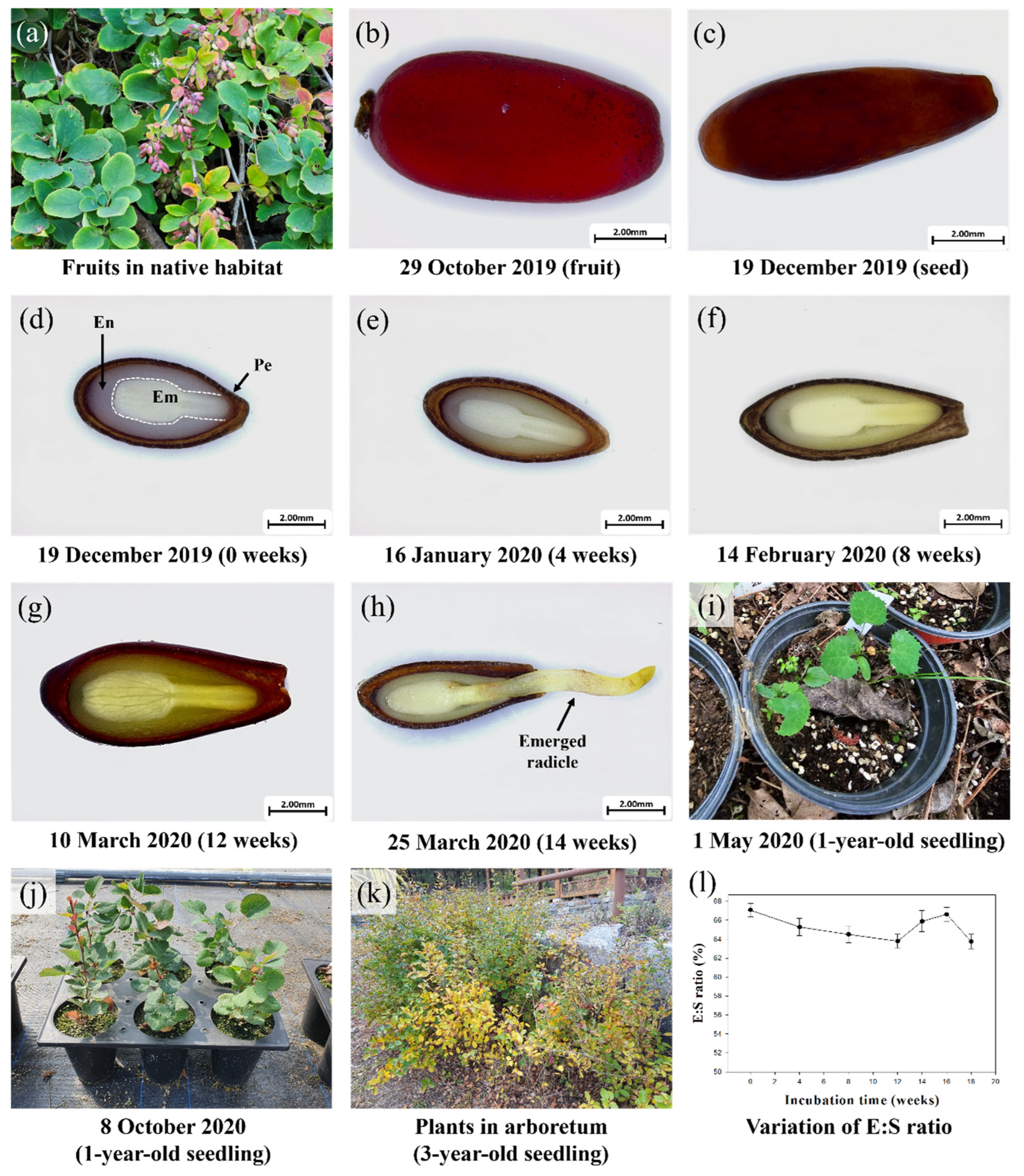 Agronomy 14 00956 g006