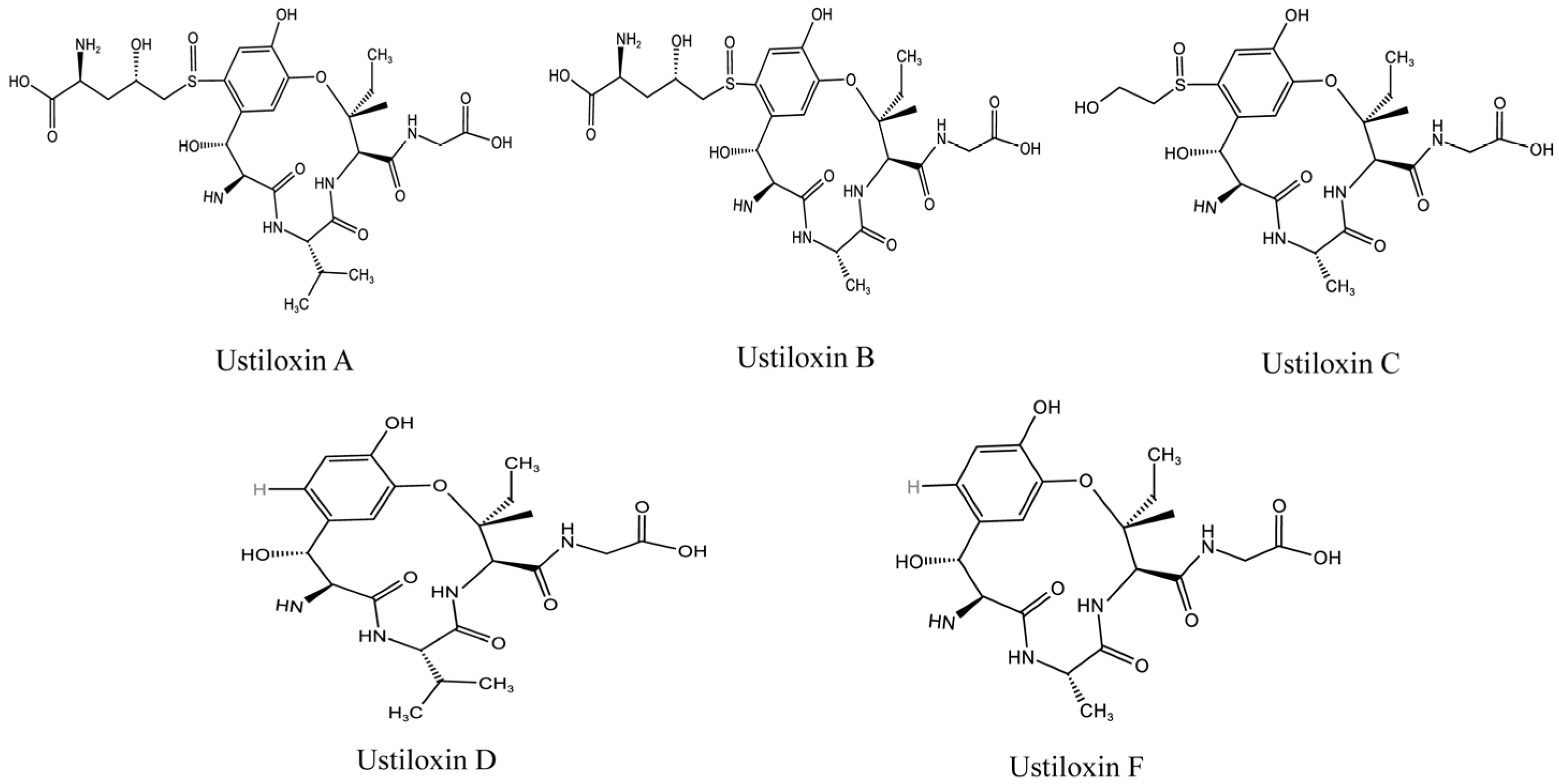 Agronomy 14 00976 g001