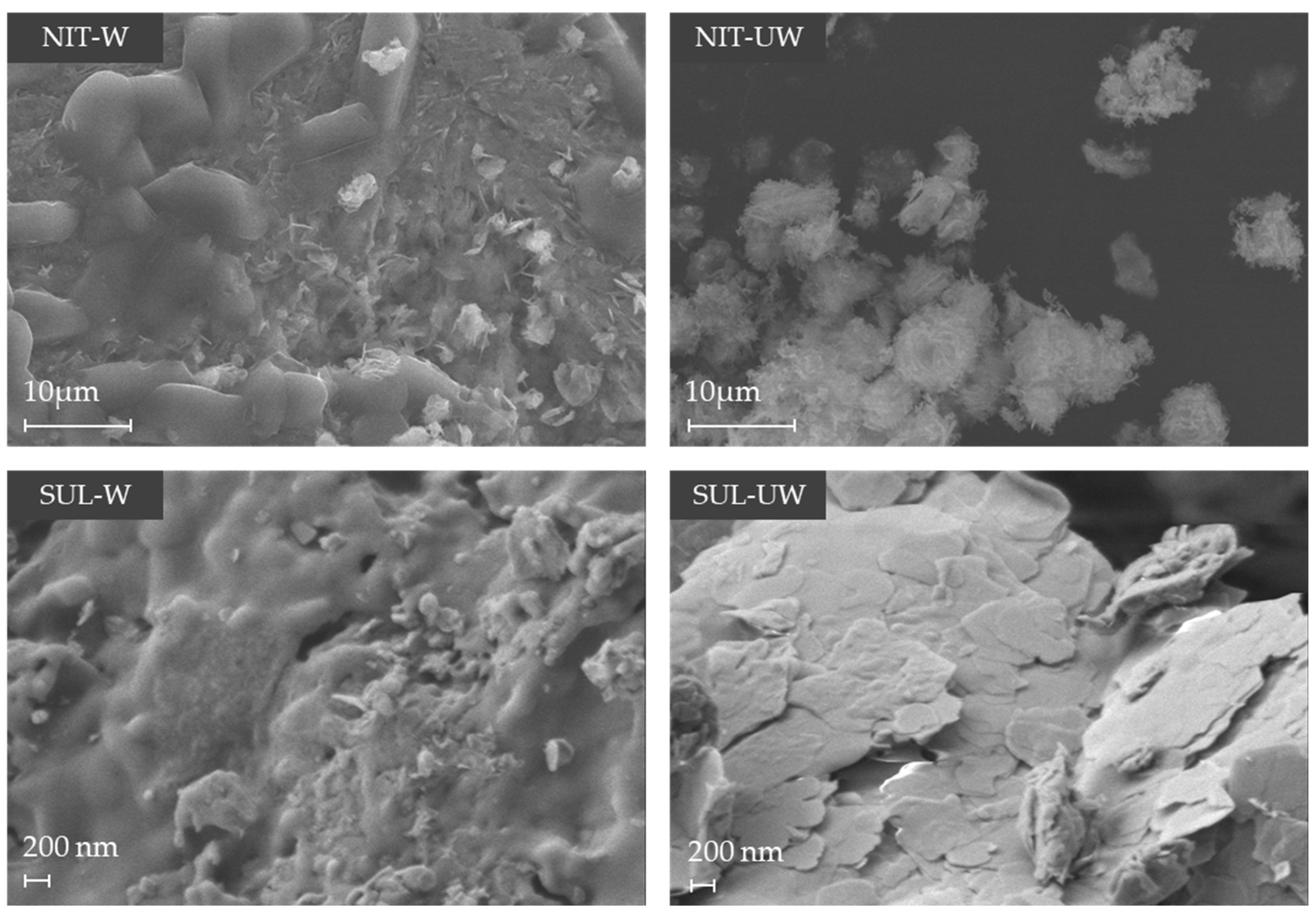 Agronomy 14 00980 g001