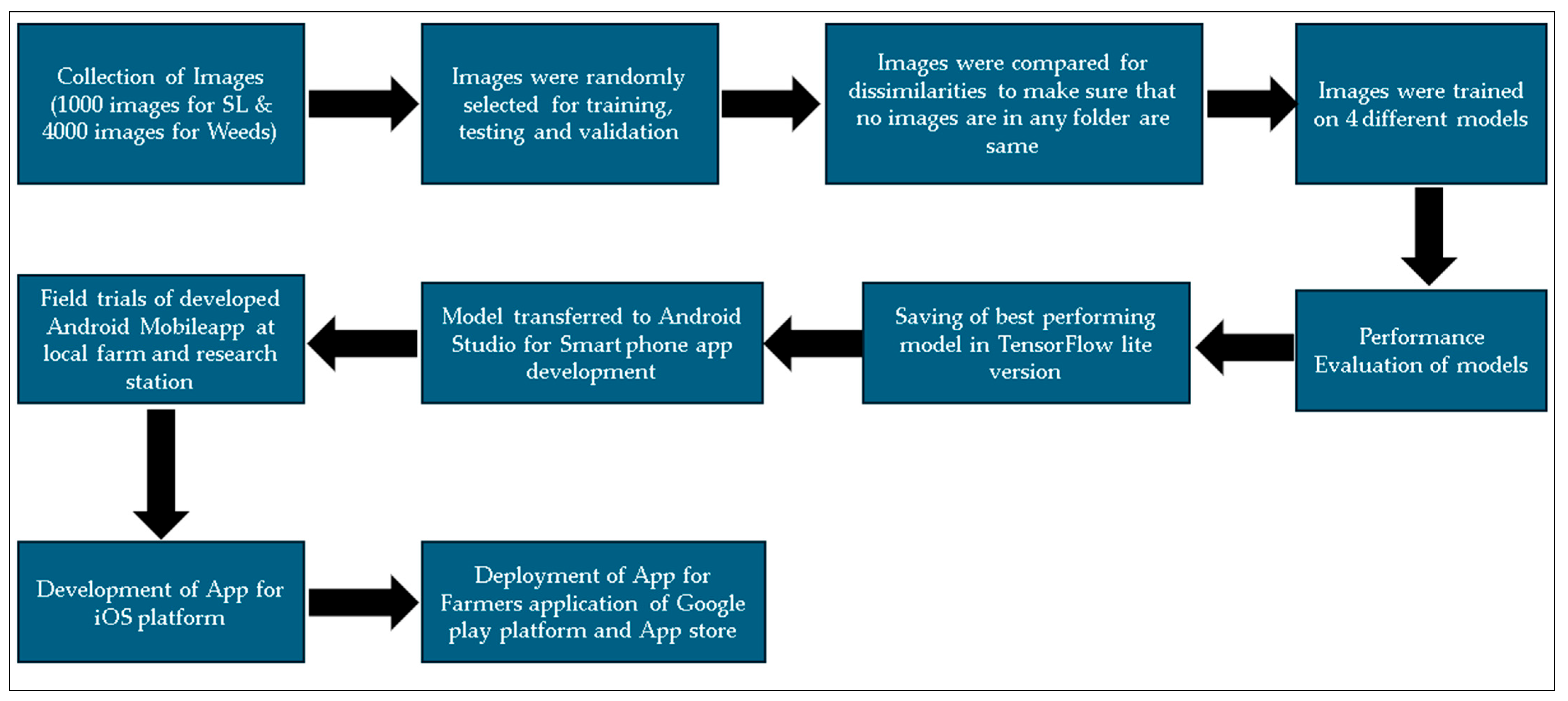 Agronomy 14 00992 g002
