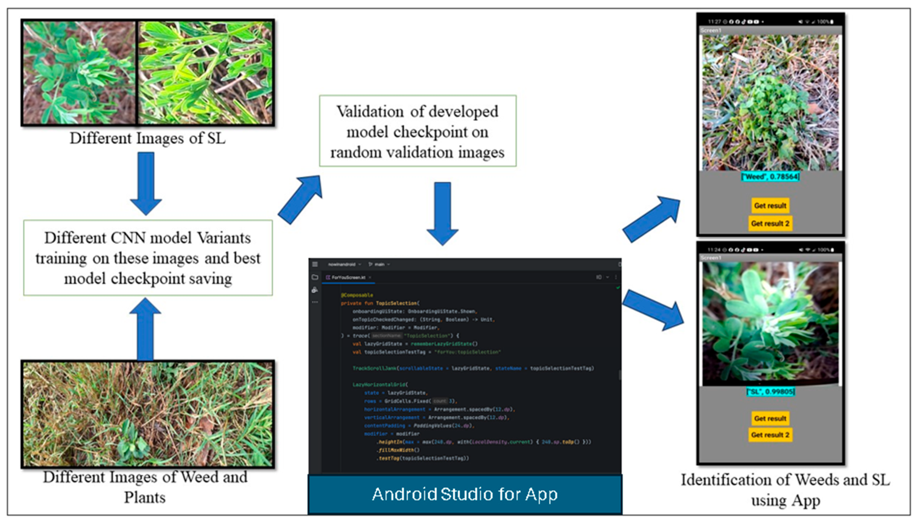 Agronomy 14 00992 g009