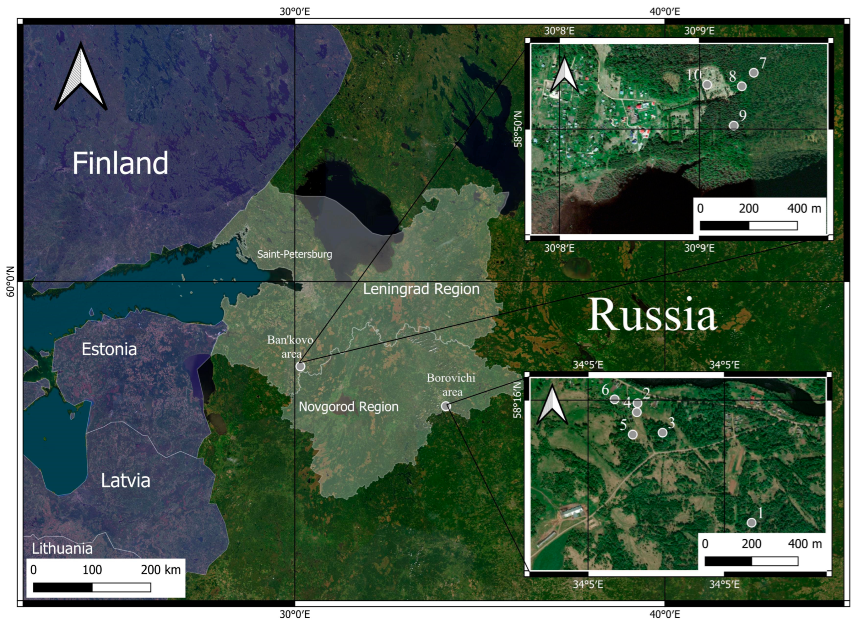 Agronomy 14 00996 g001