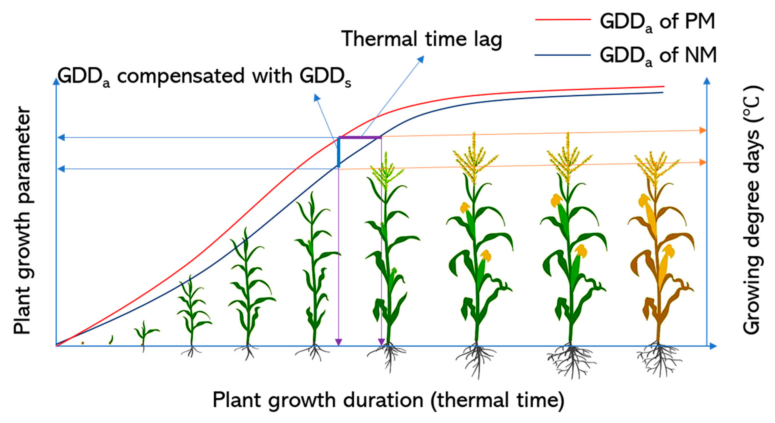 Agronomy 14 01005 g001