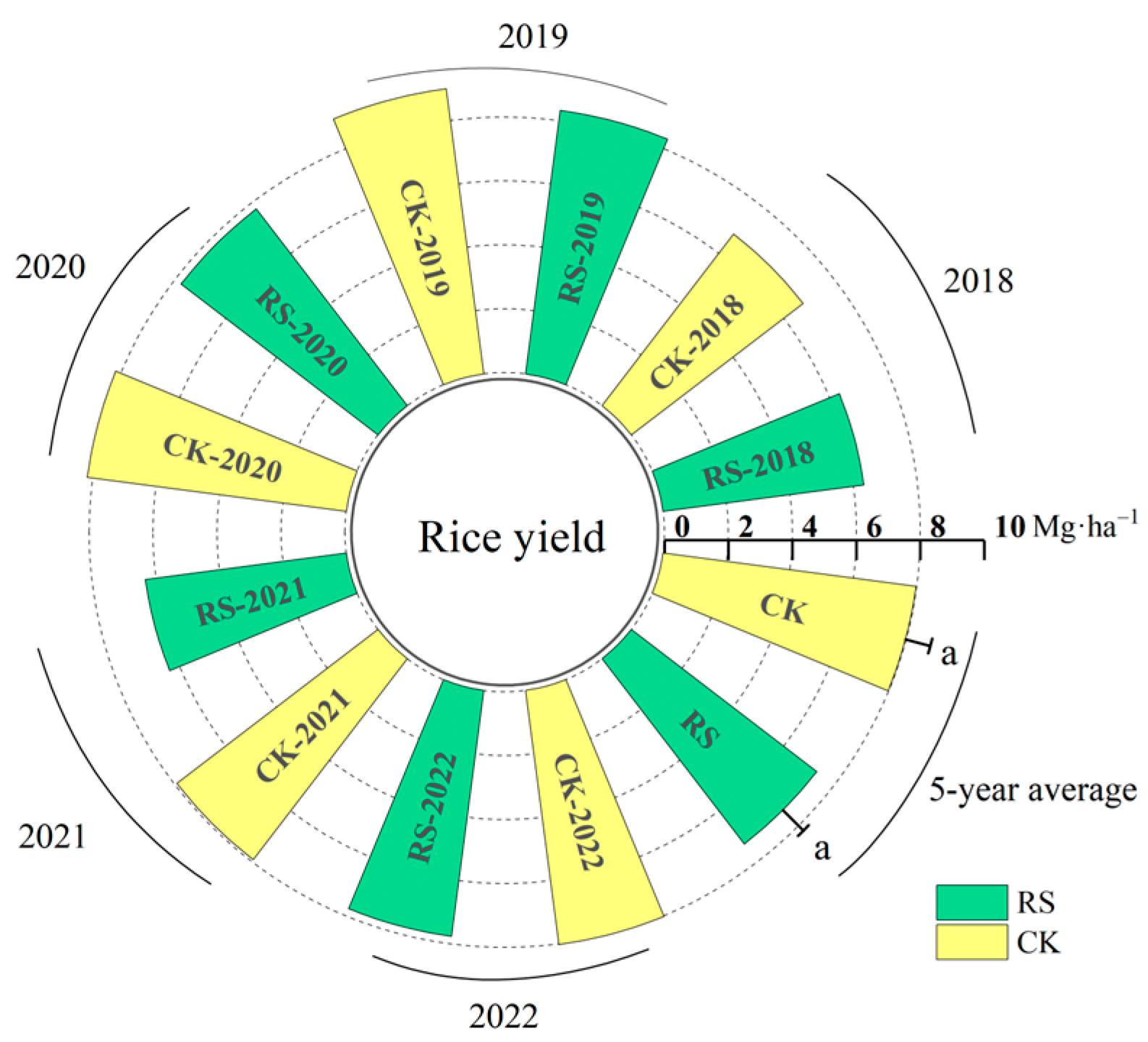 M Personalised and Coordinated Demand-Responsive Feeder