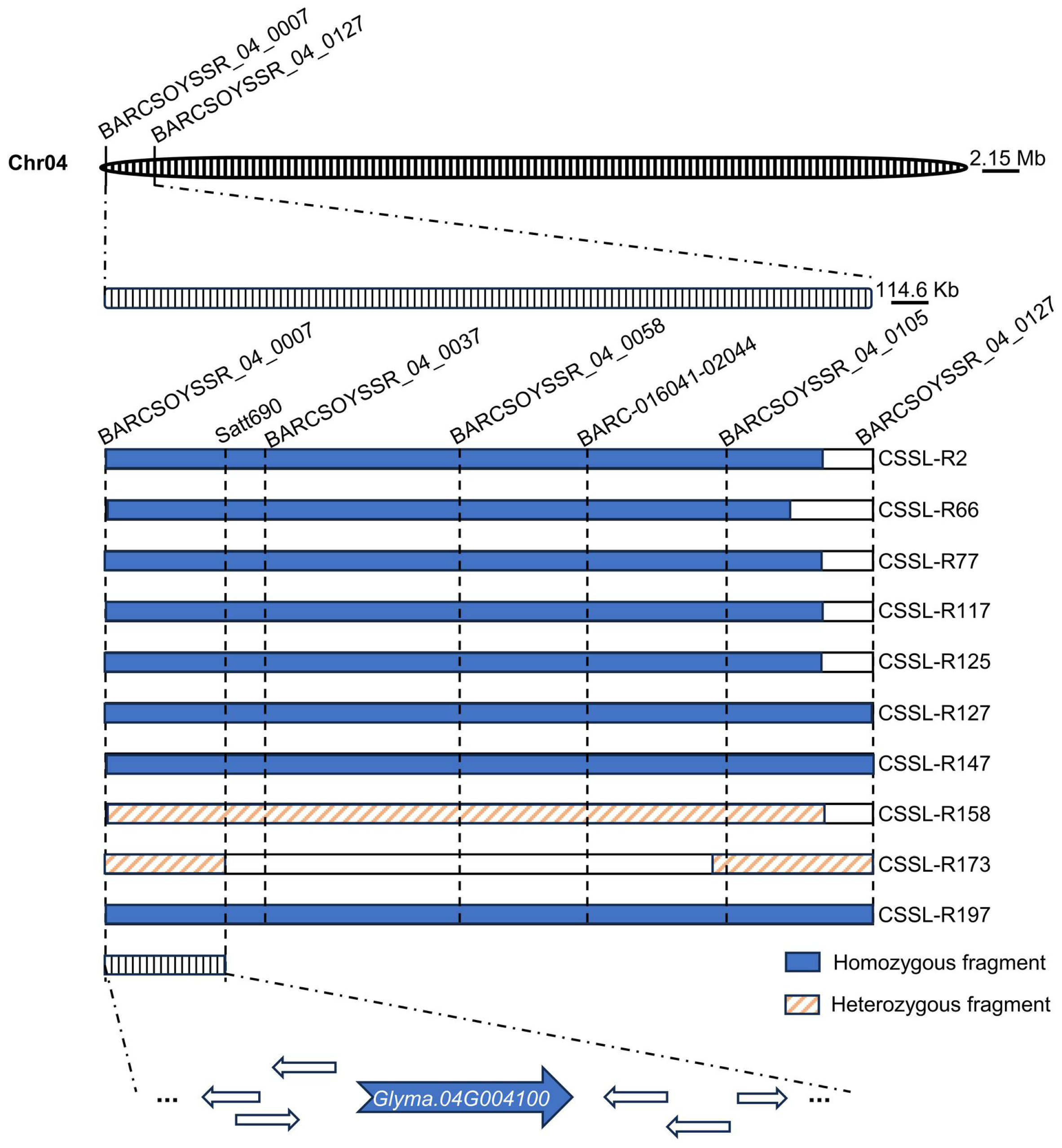 Agronomy 14 01019 g002