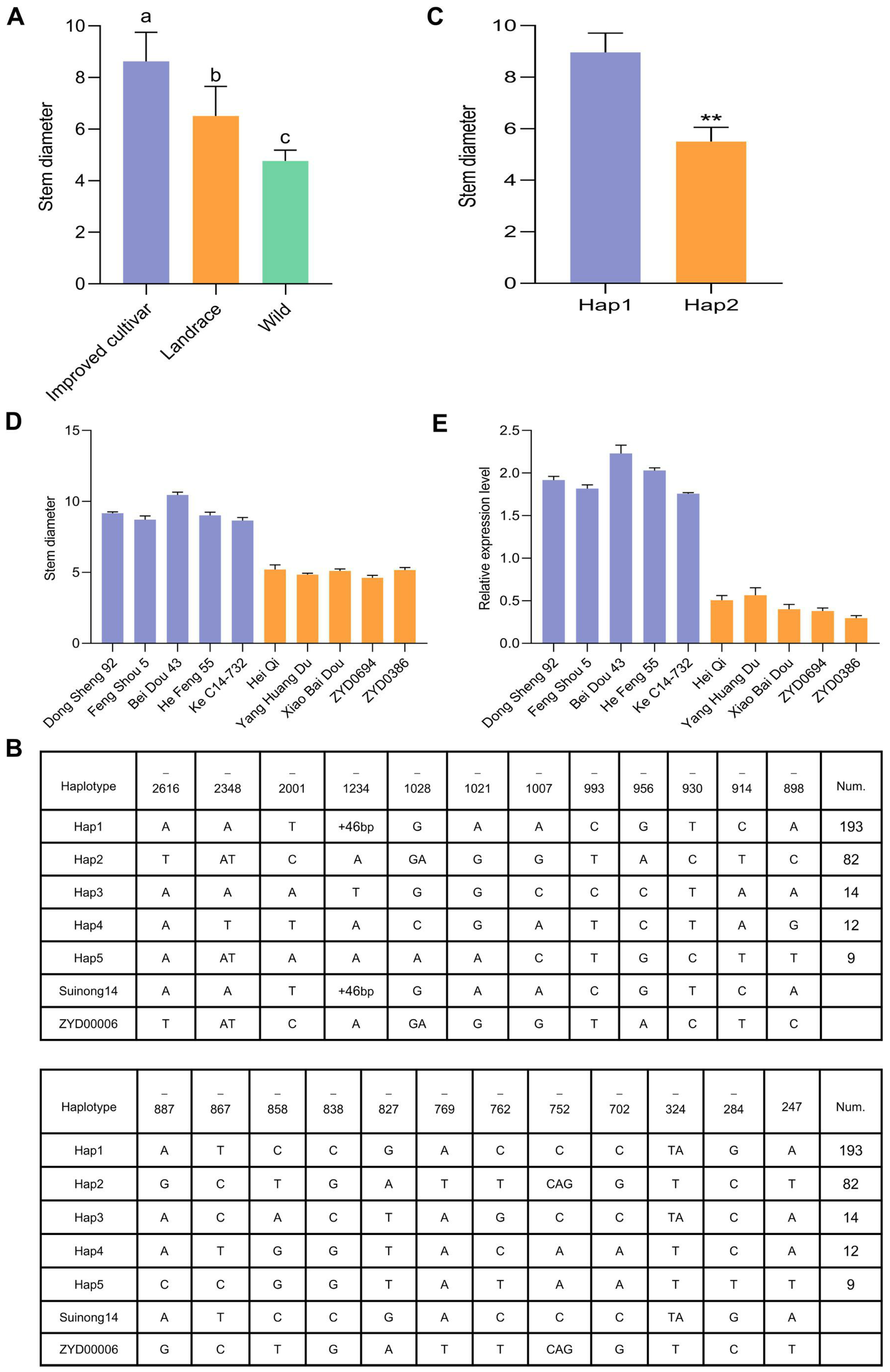 Agronomy 14 01019 g006