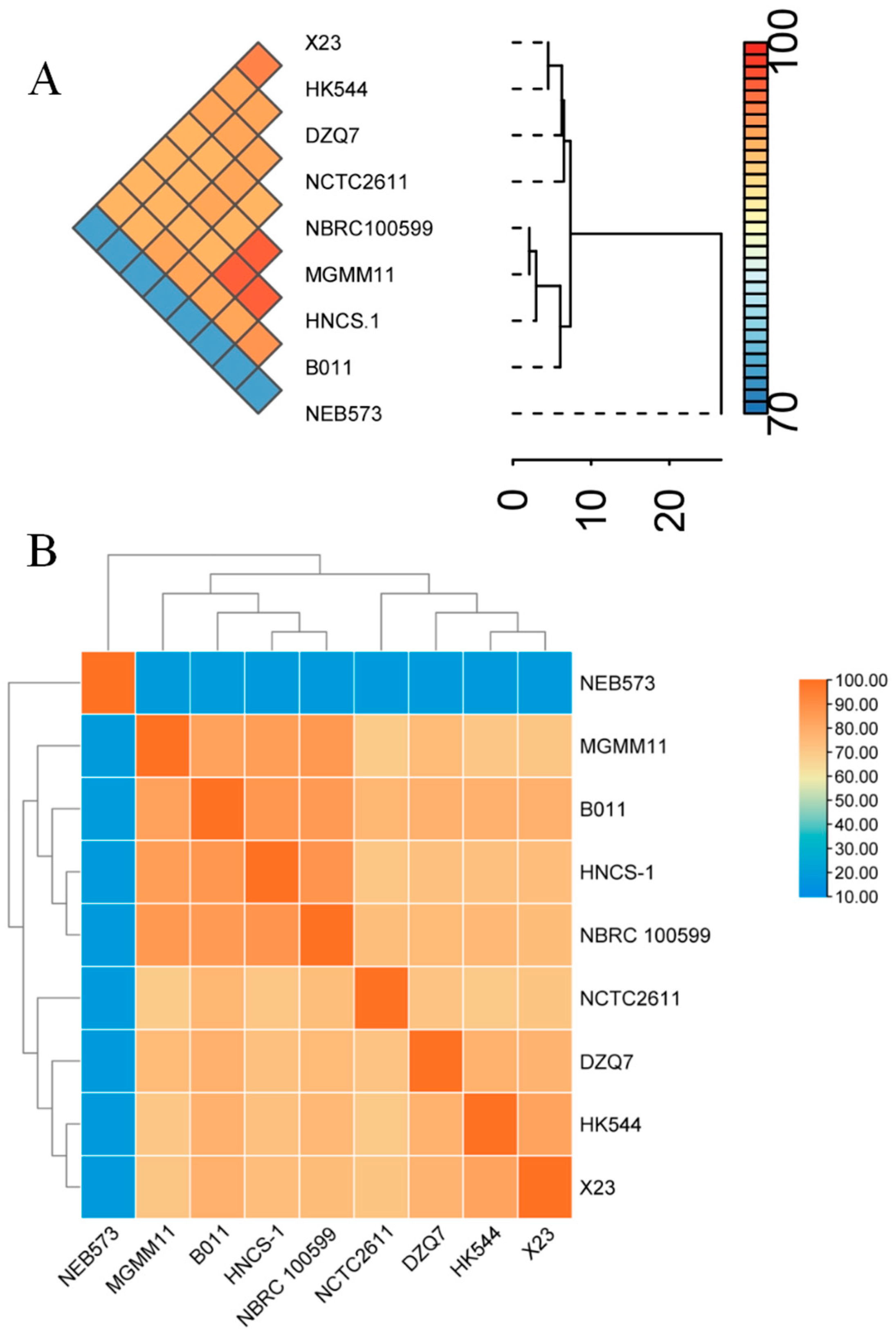 Agronomy 14 01024 g001
