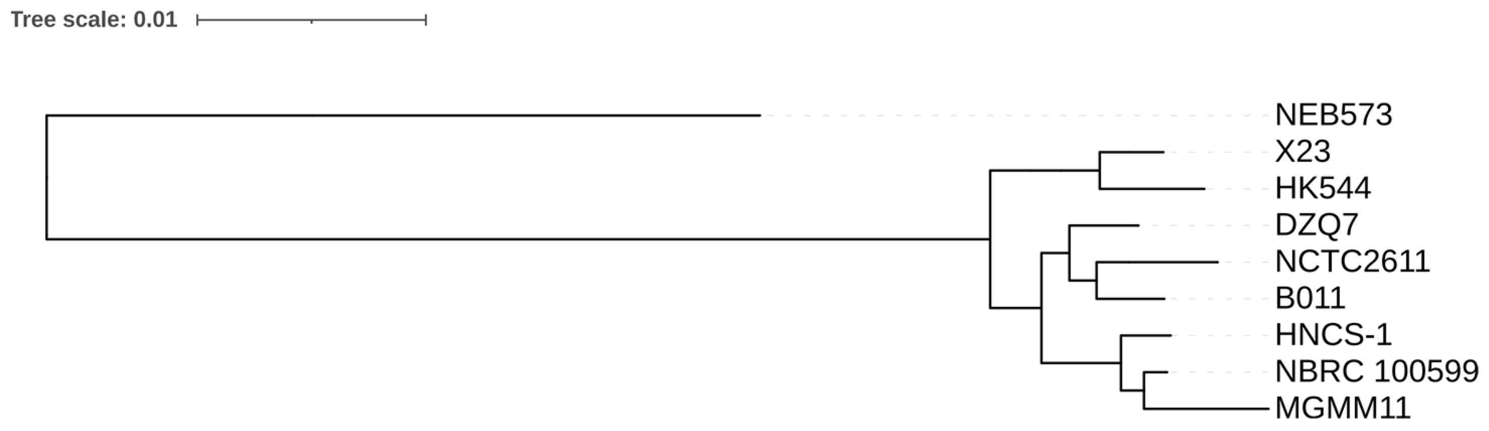 Agronomy 14 01024 g002