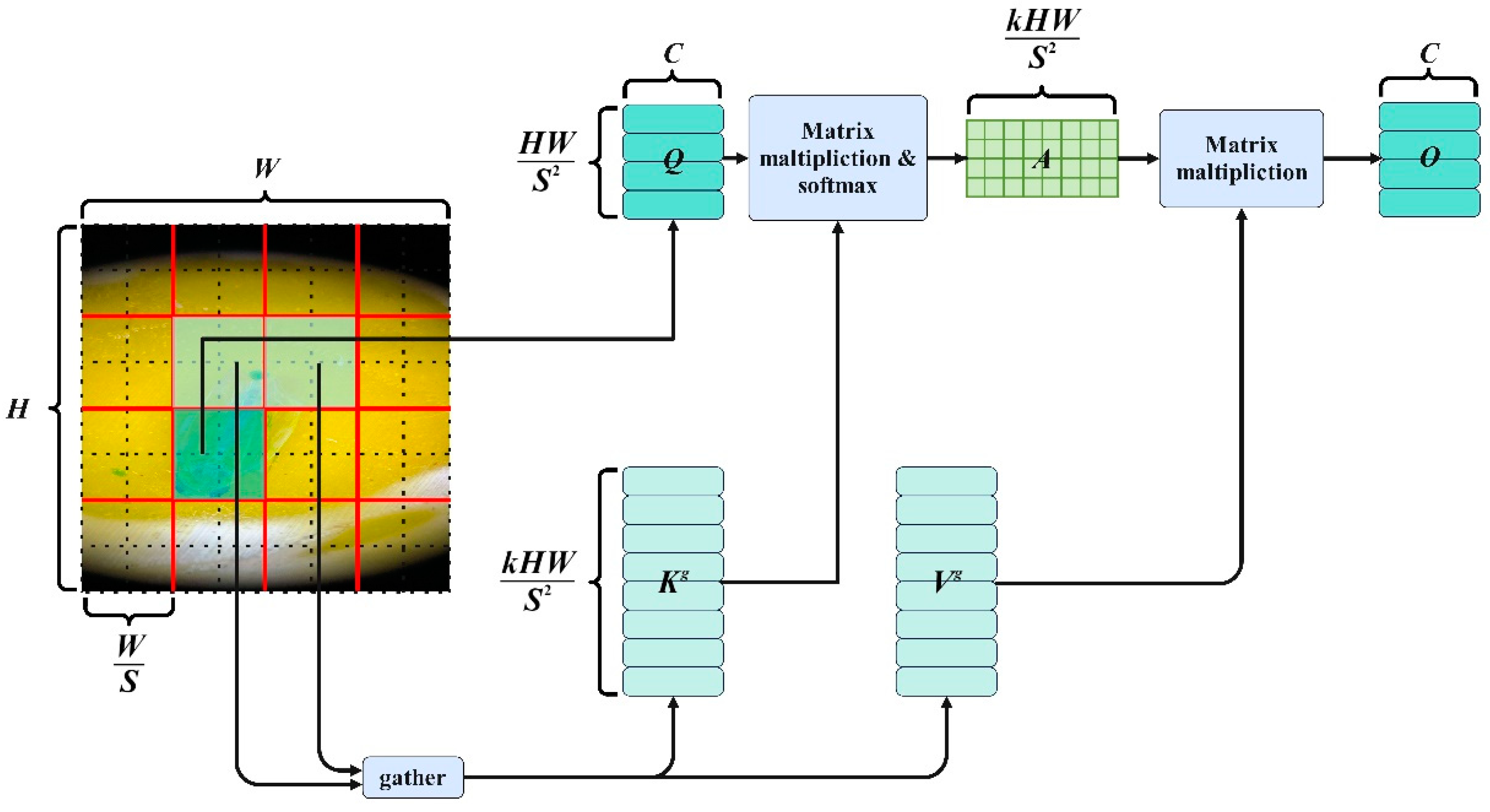 Agronomy 14 01034 g008