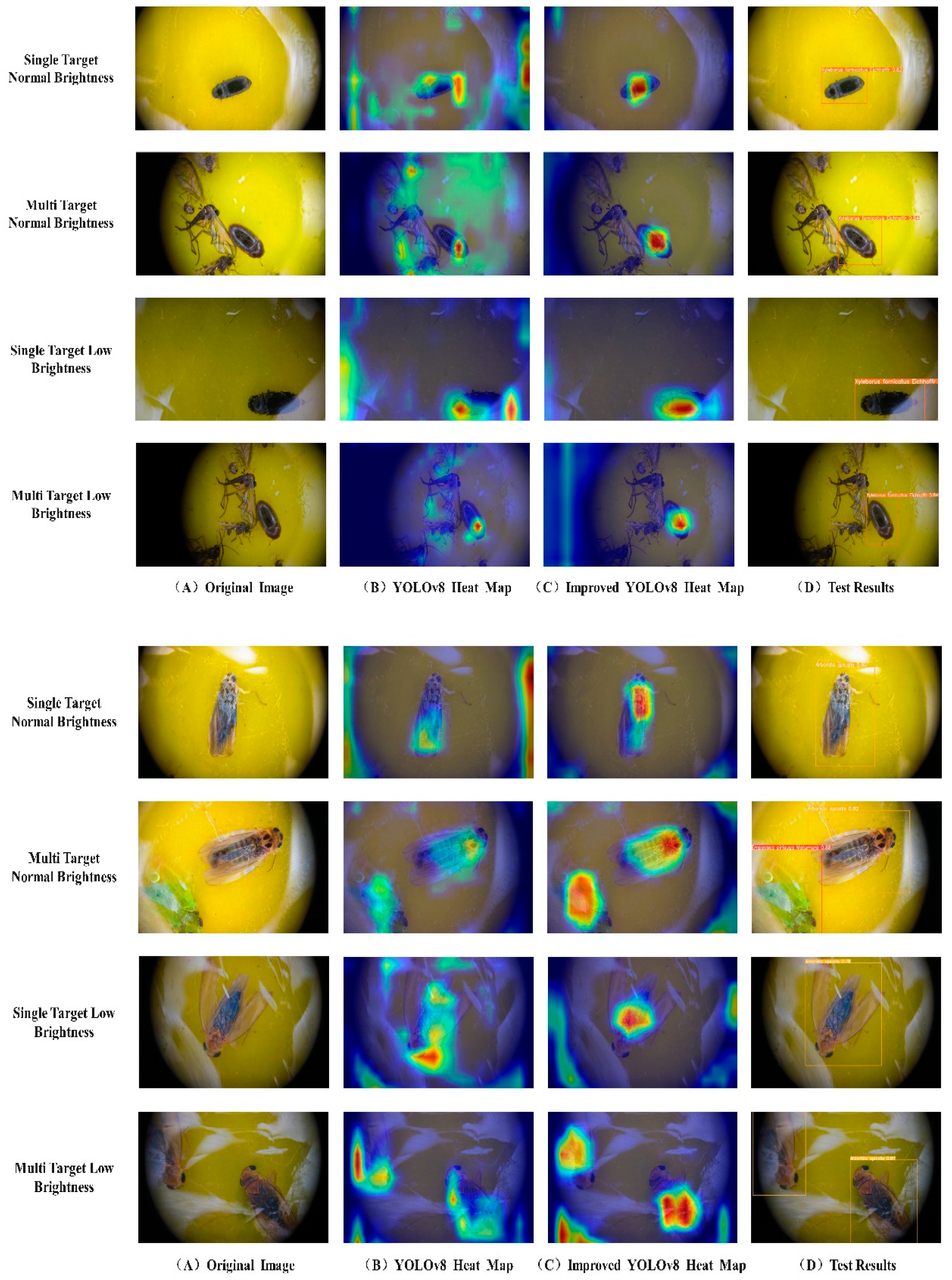 Agronomy 14 01034 g016b