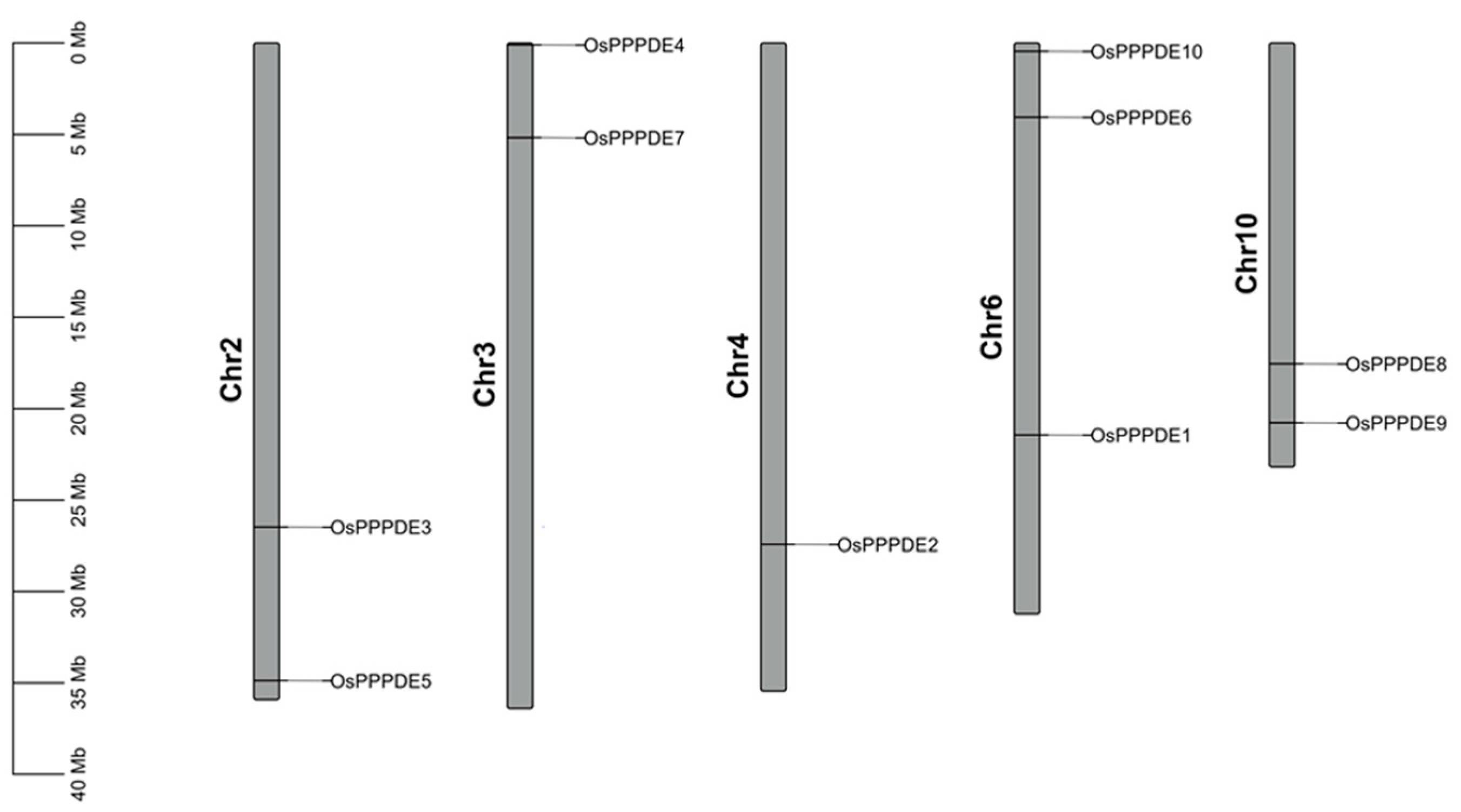 Agronomy 14 01035 g001