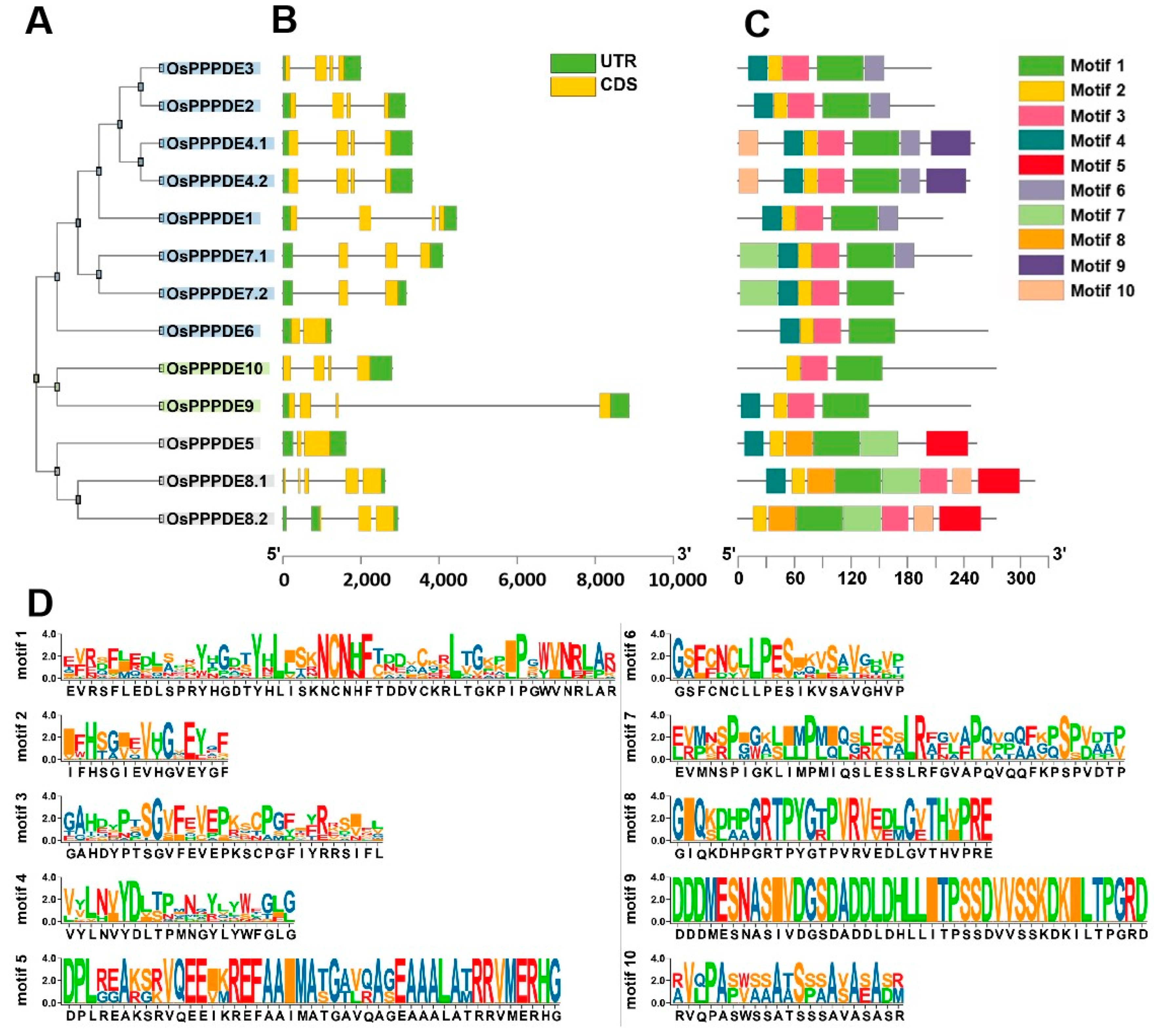 Agronomy 14 01035 g002