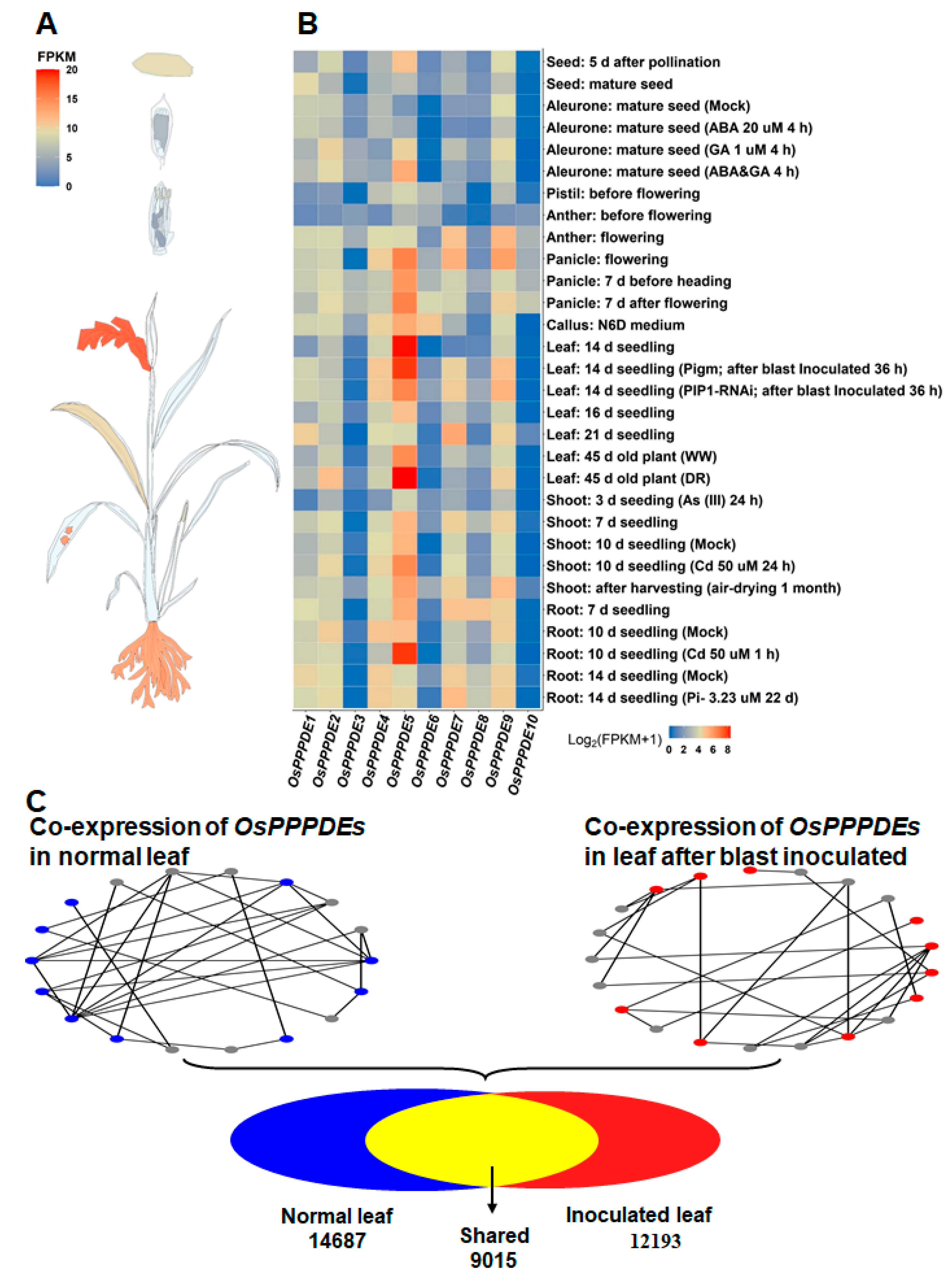 Agronomy 14 01035 g005