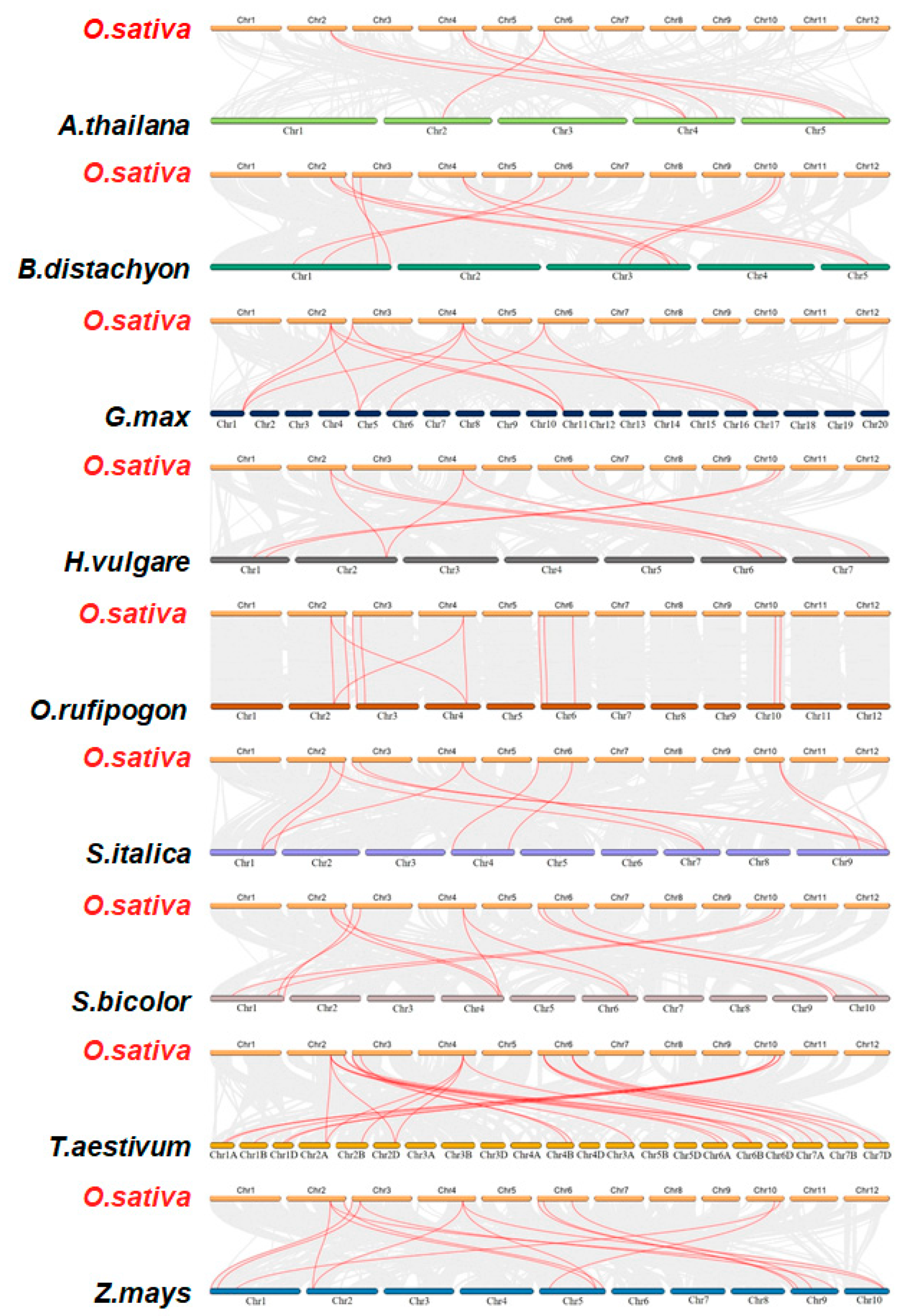 Agronomy 14 01035 g007