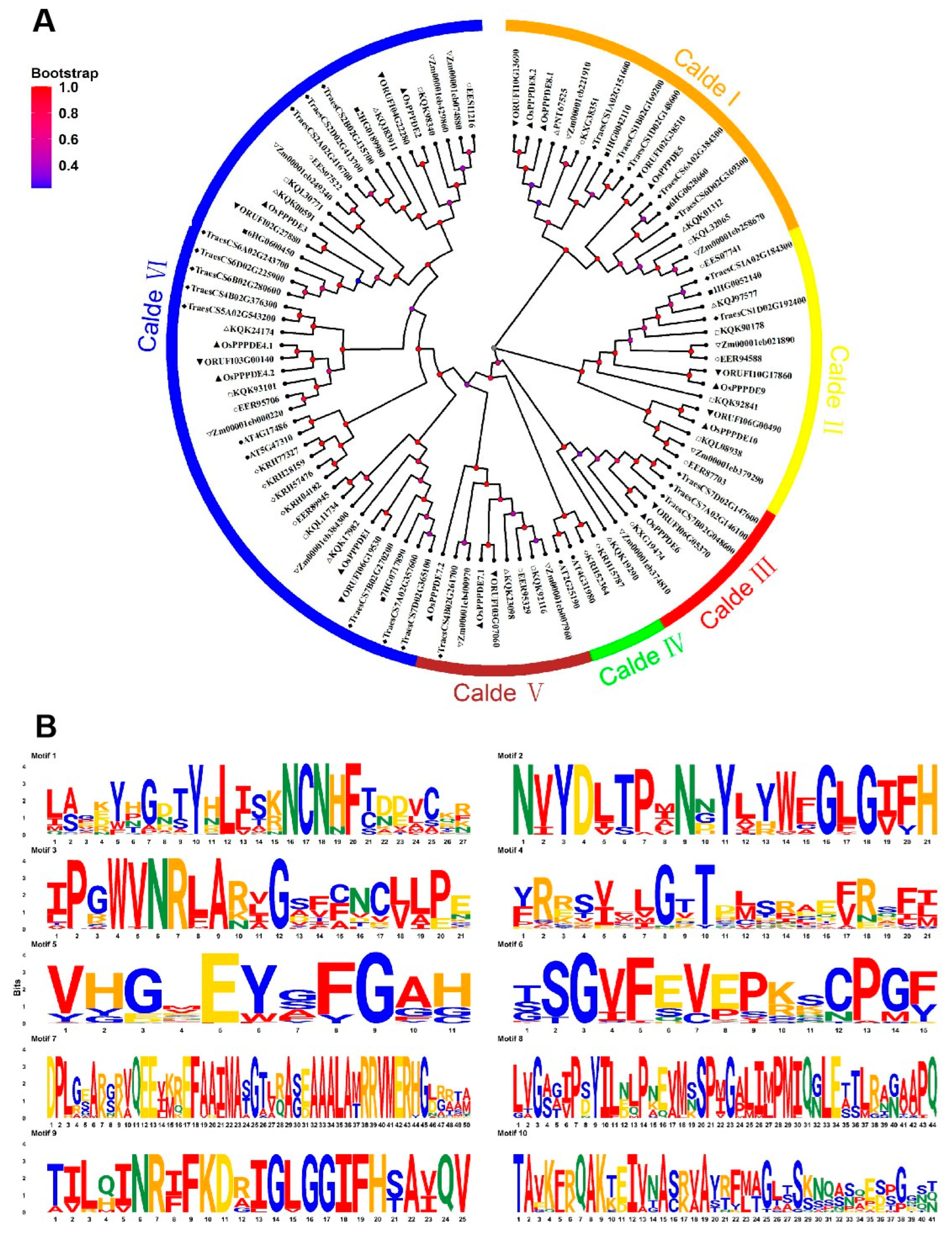 Agronomy 14 01035 g008