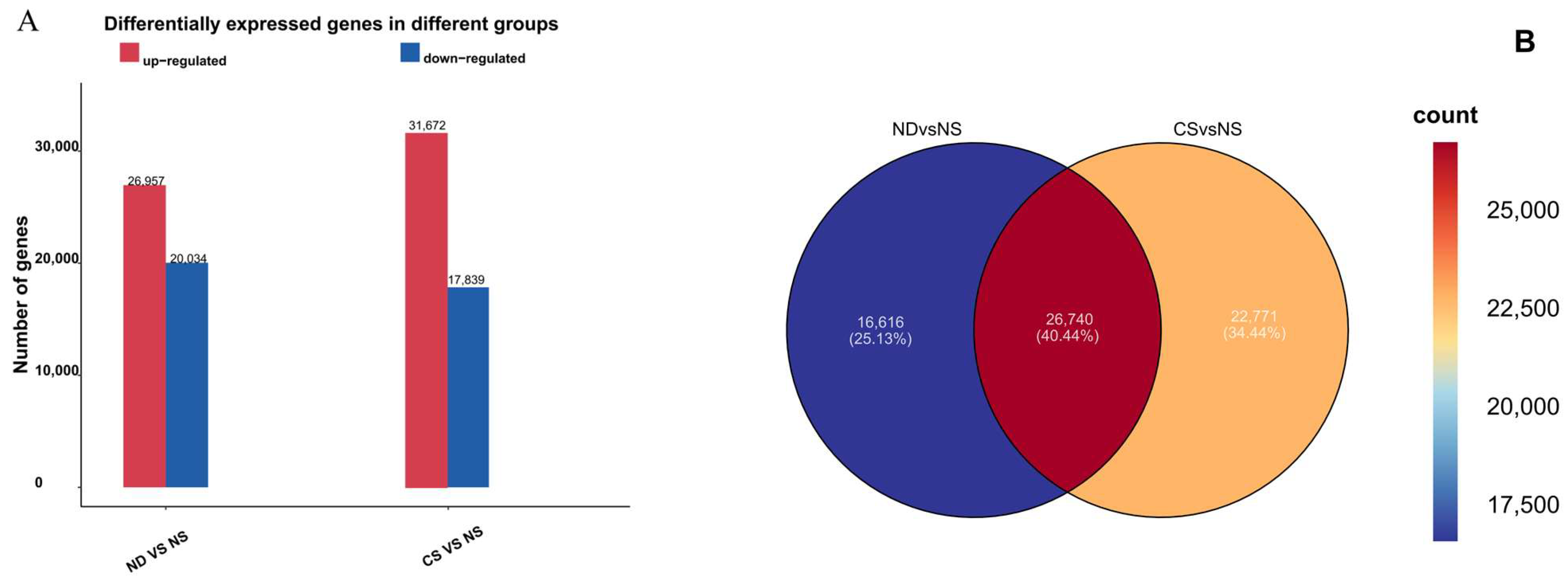 Agronomy 14 01037 g002