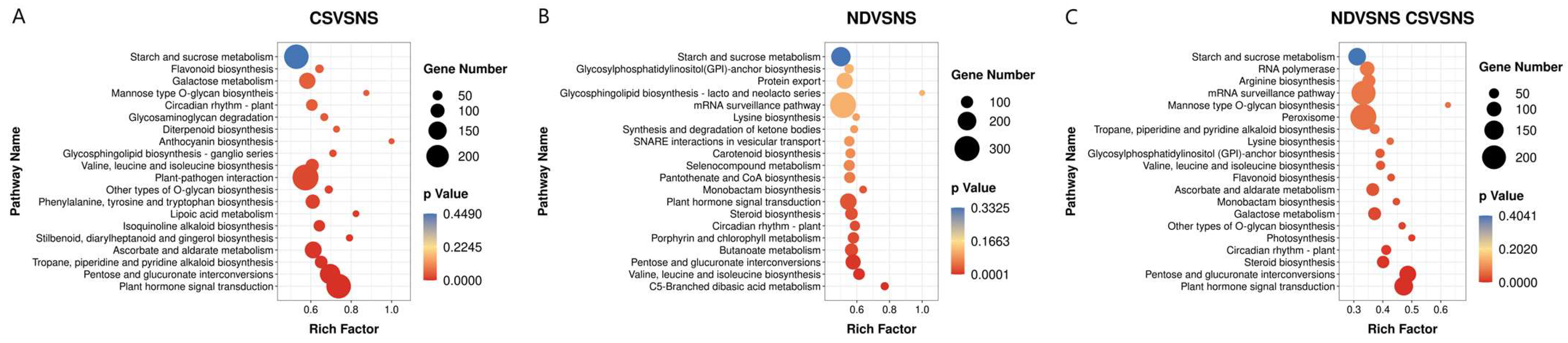 Agronomy 14 01037 g004