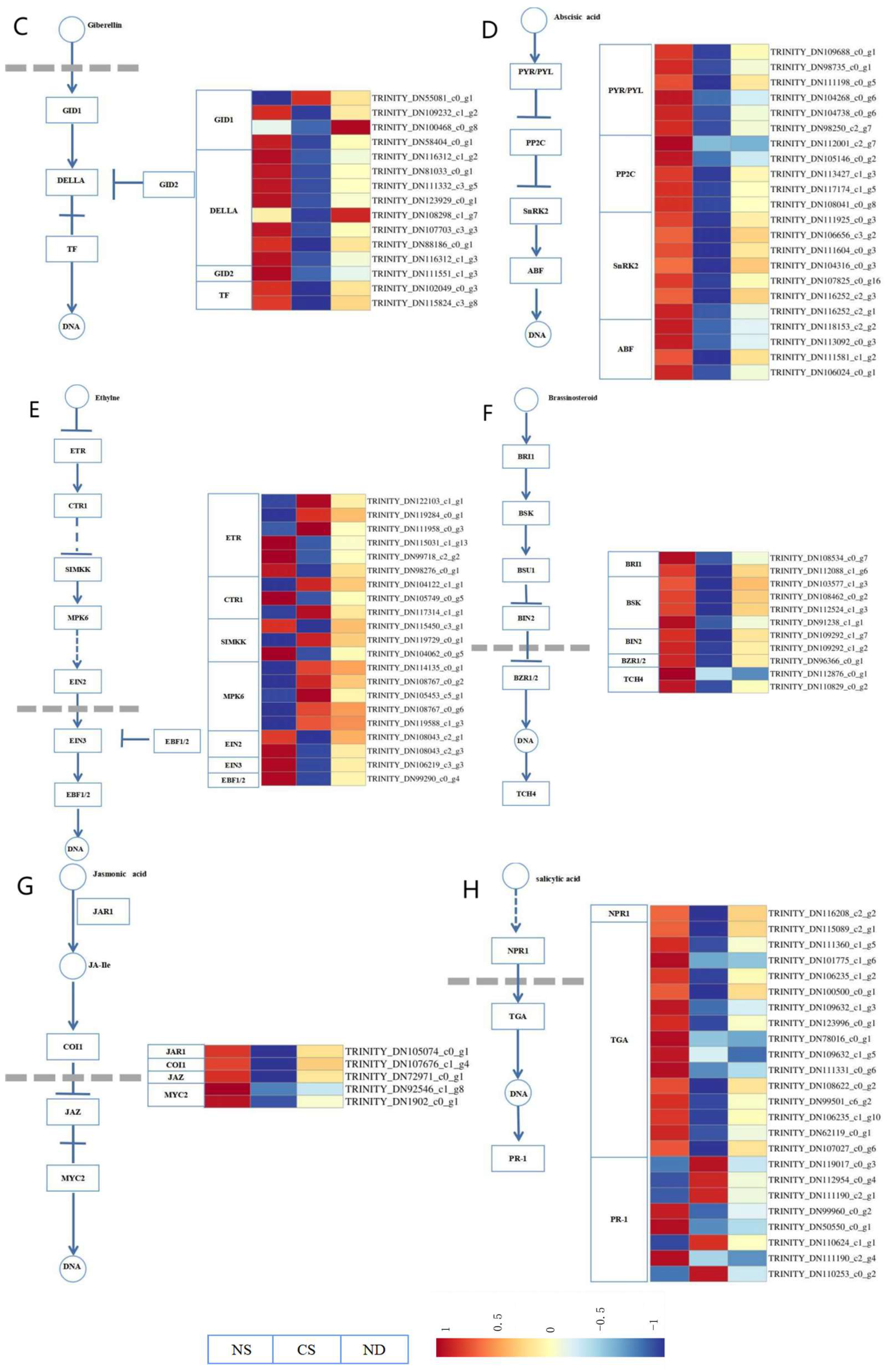 Agronomy 14 01037 g005b