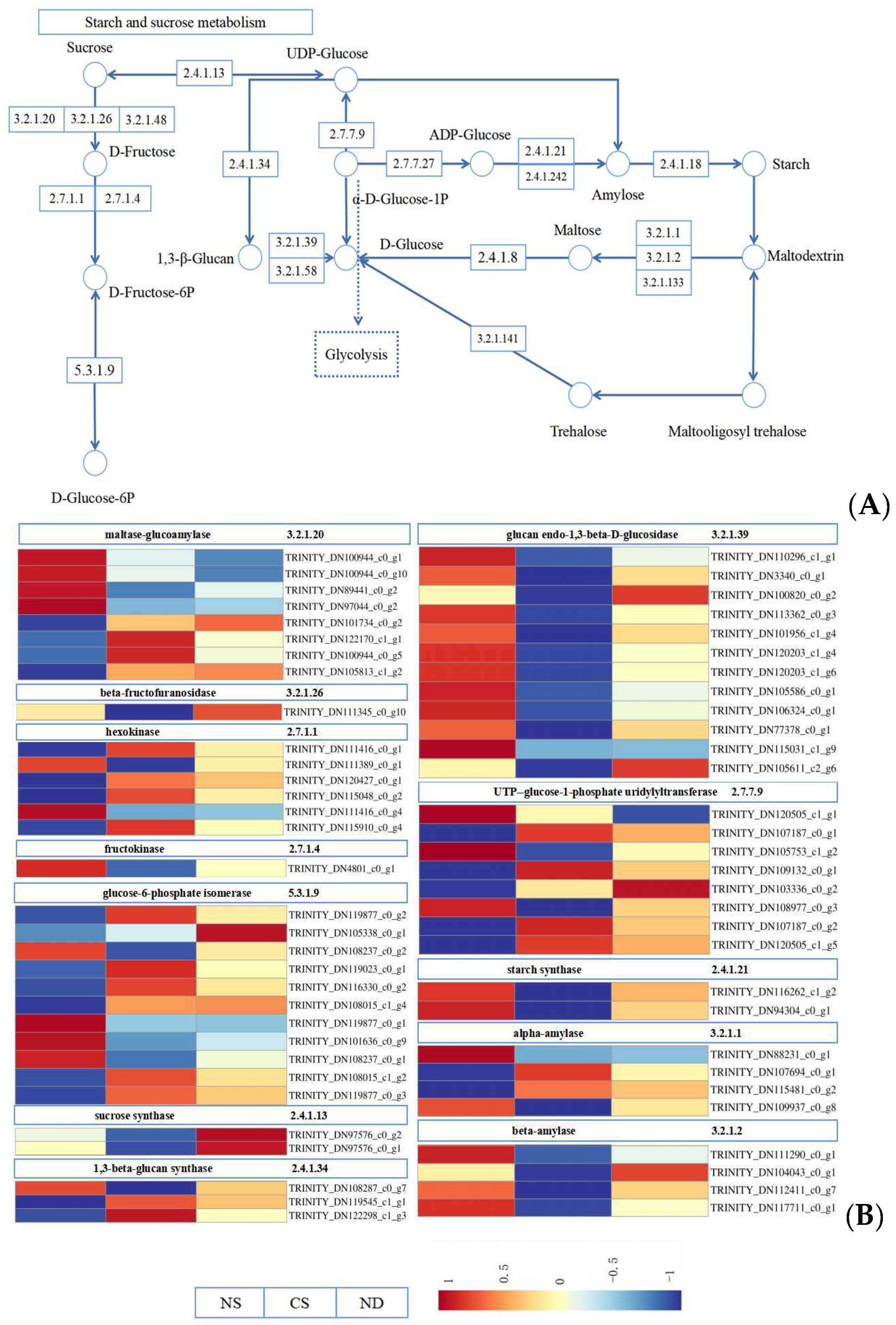 Agronomy 14 01037 g006