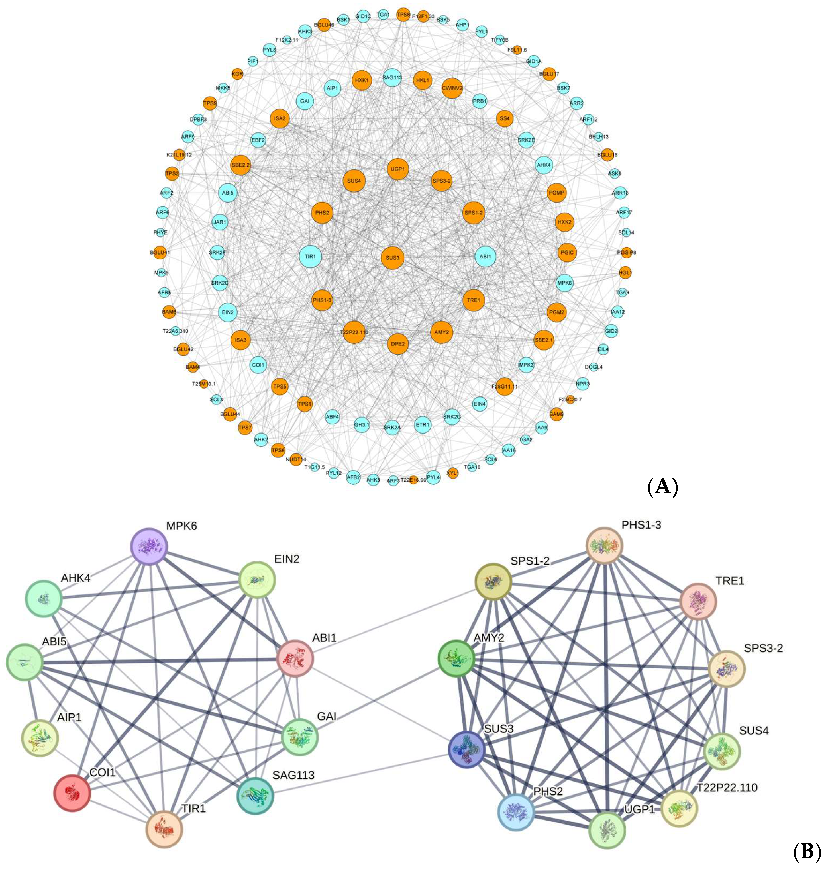 Agronomy 14 01037 g007