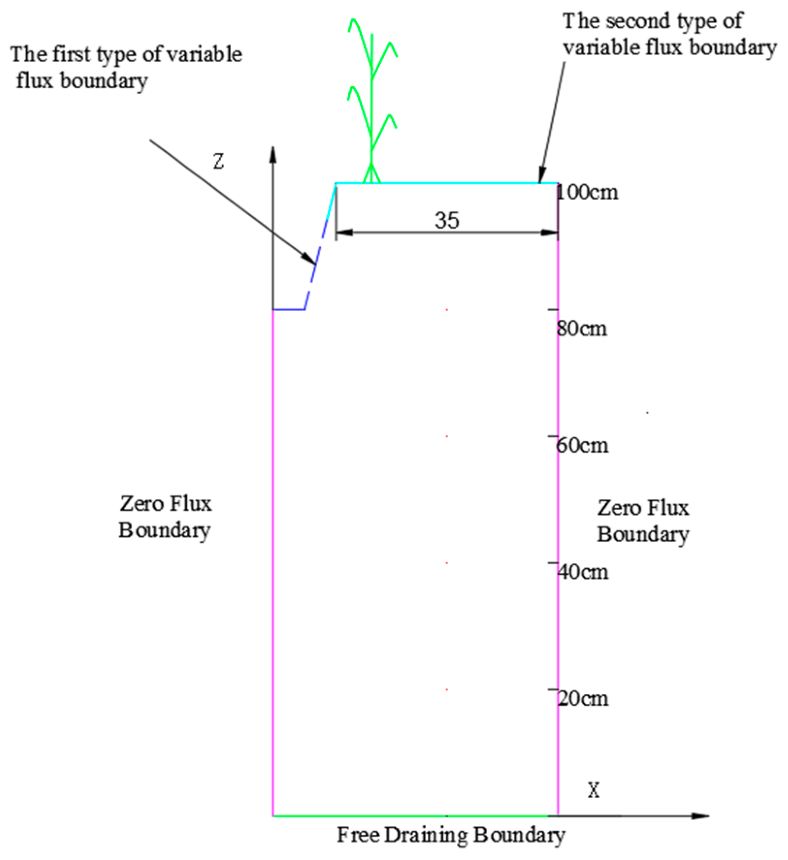 Agronomy 14 01044 g002