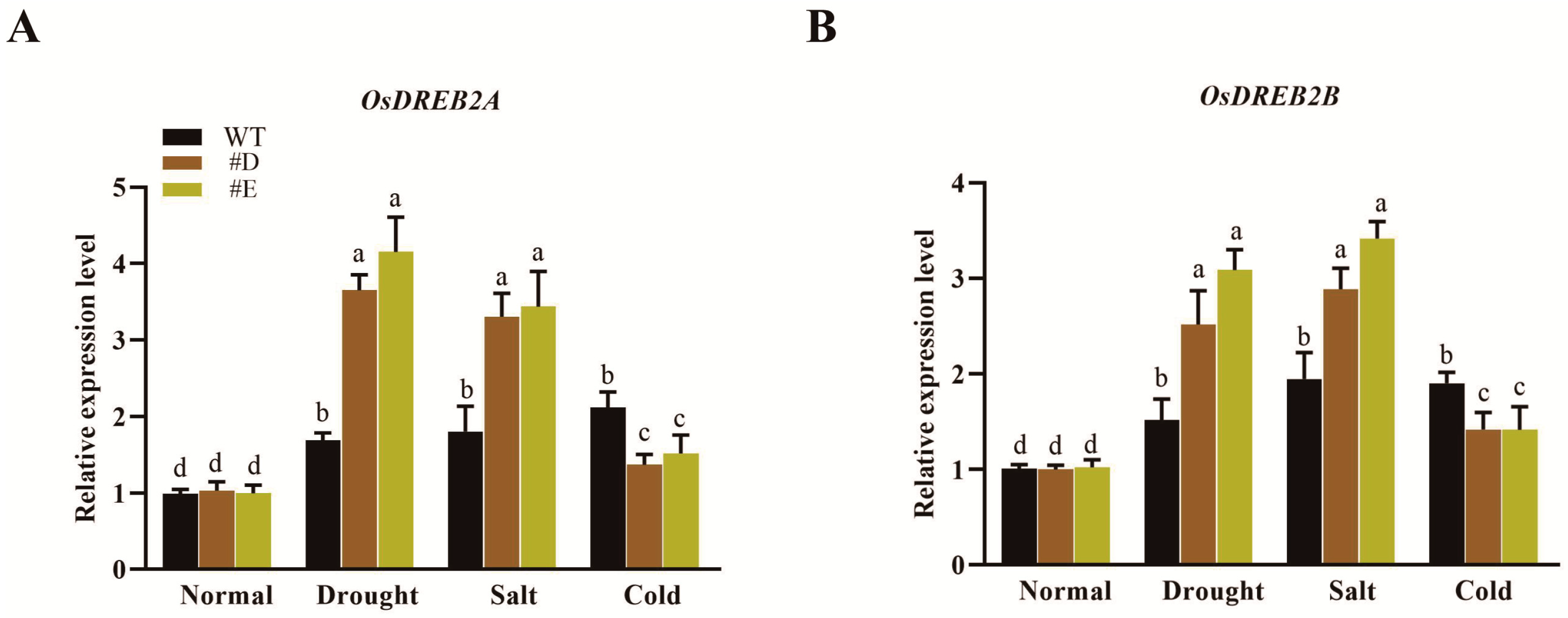 Agronomy 14 01050 g005a