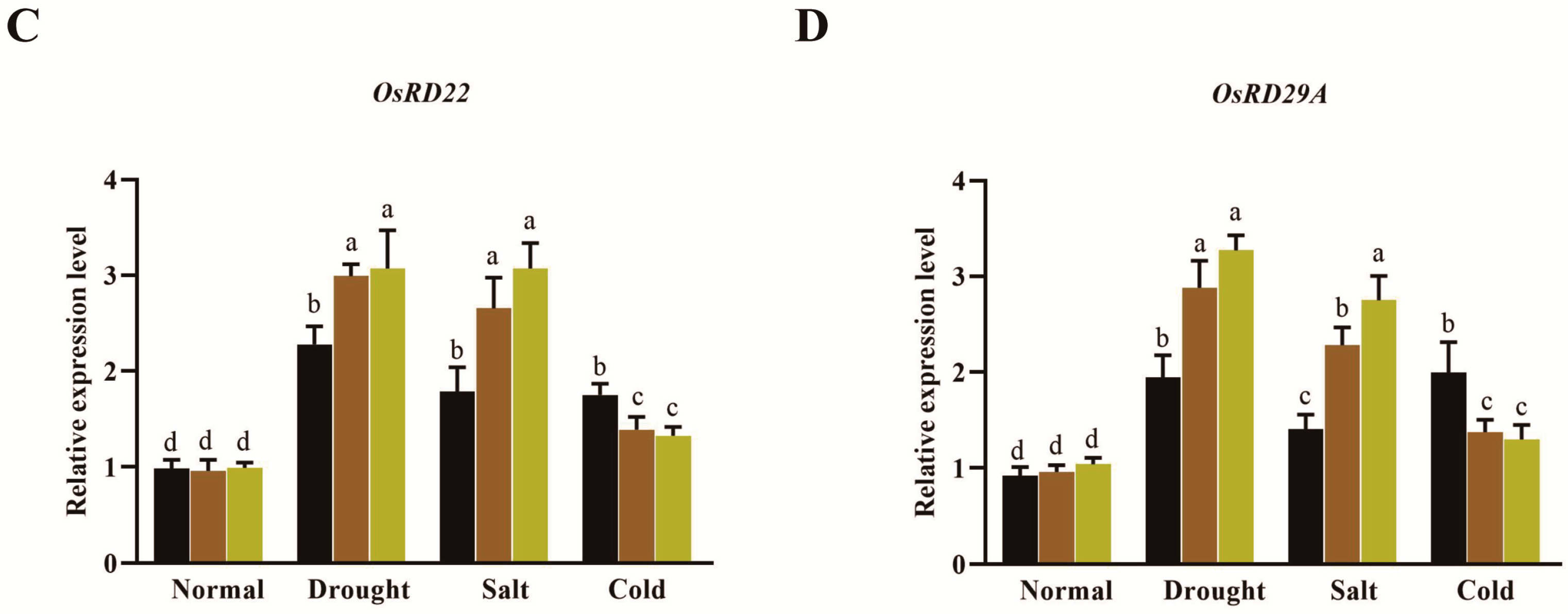 Agronomy 14 01050 g005b