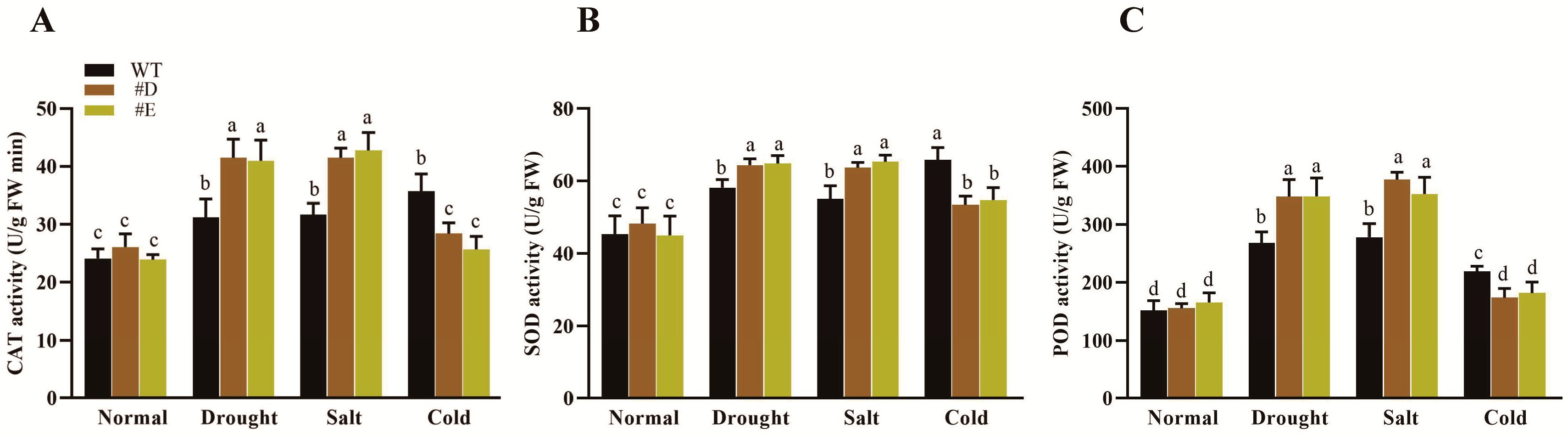 Agronomy 14 01050 g006