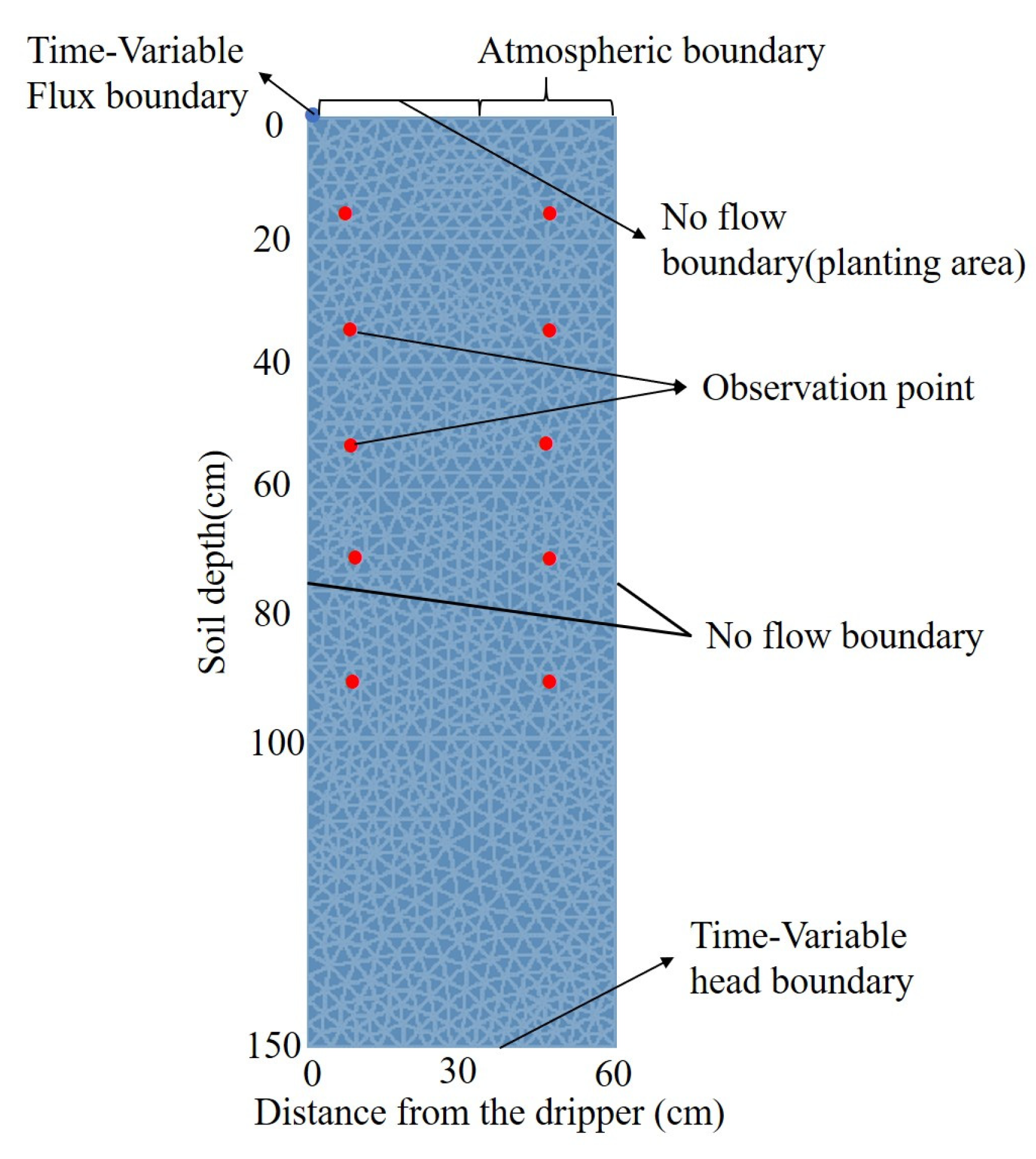 Agronomy 14 01058 g005