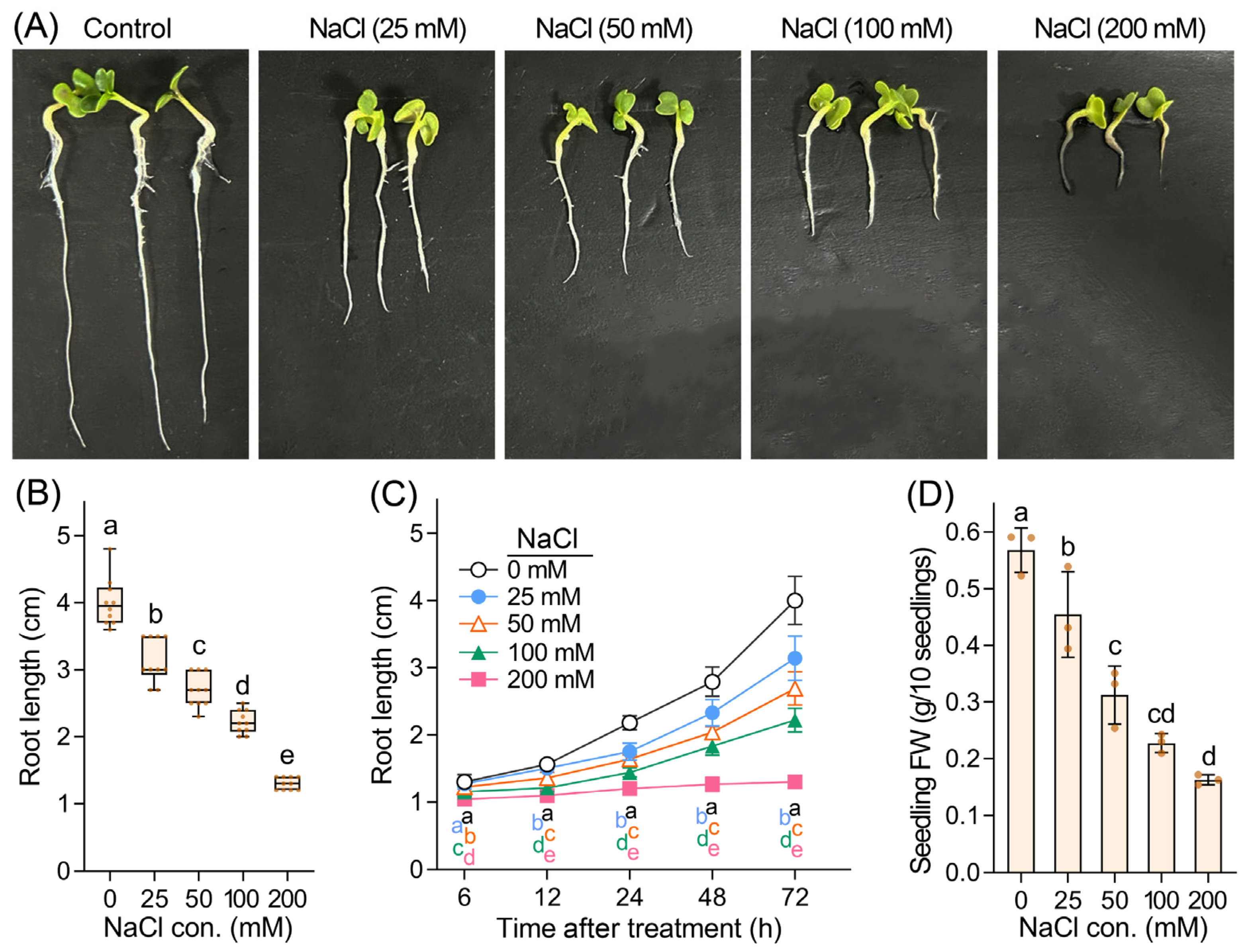 Agronomy 14 01059 g001