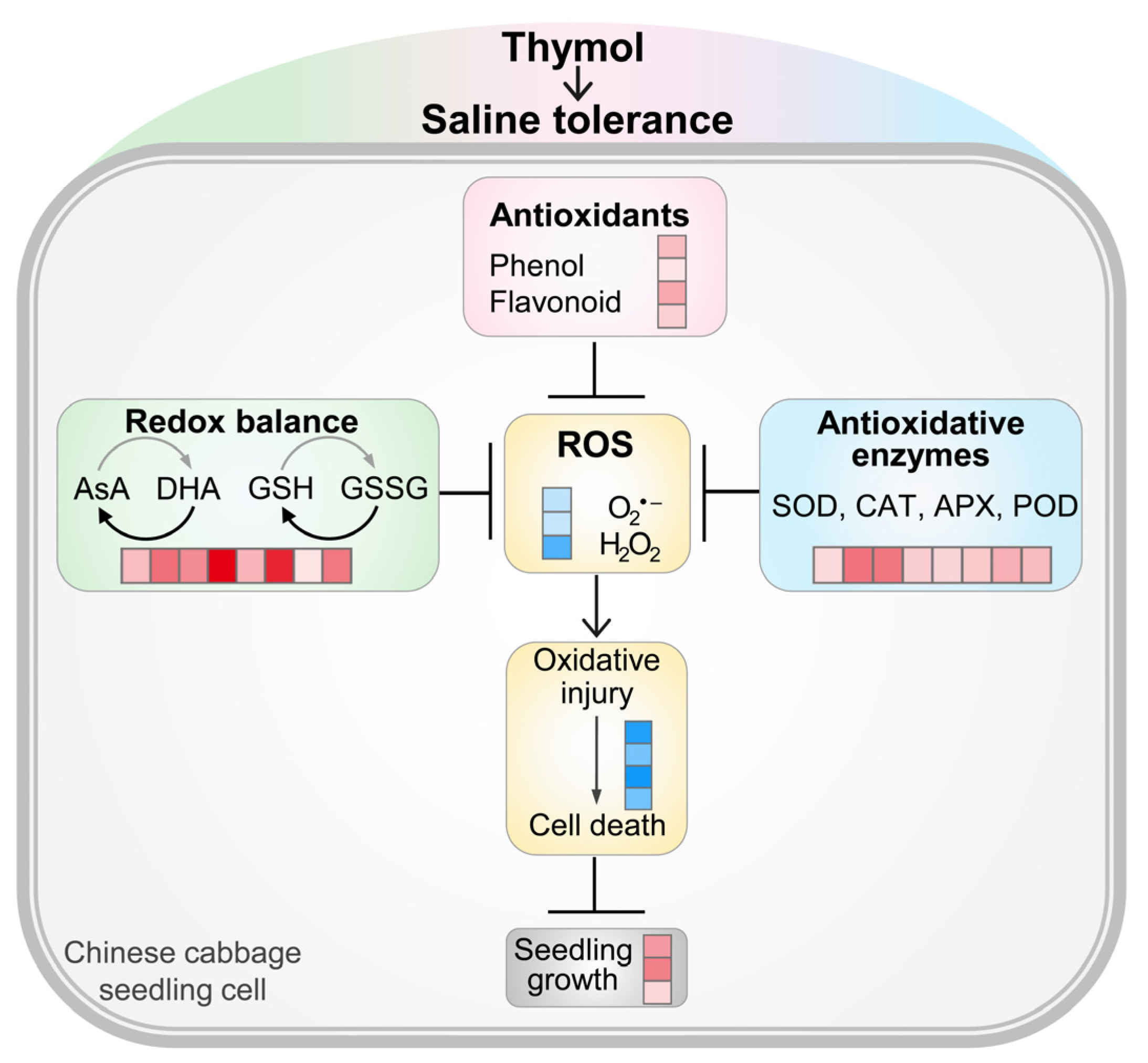 Agronomy 14 01059 g011
