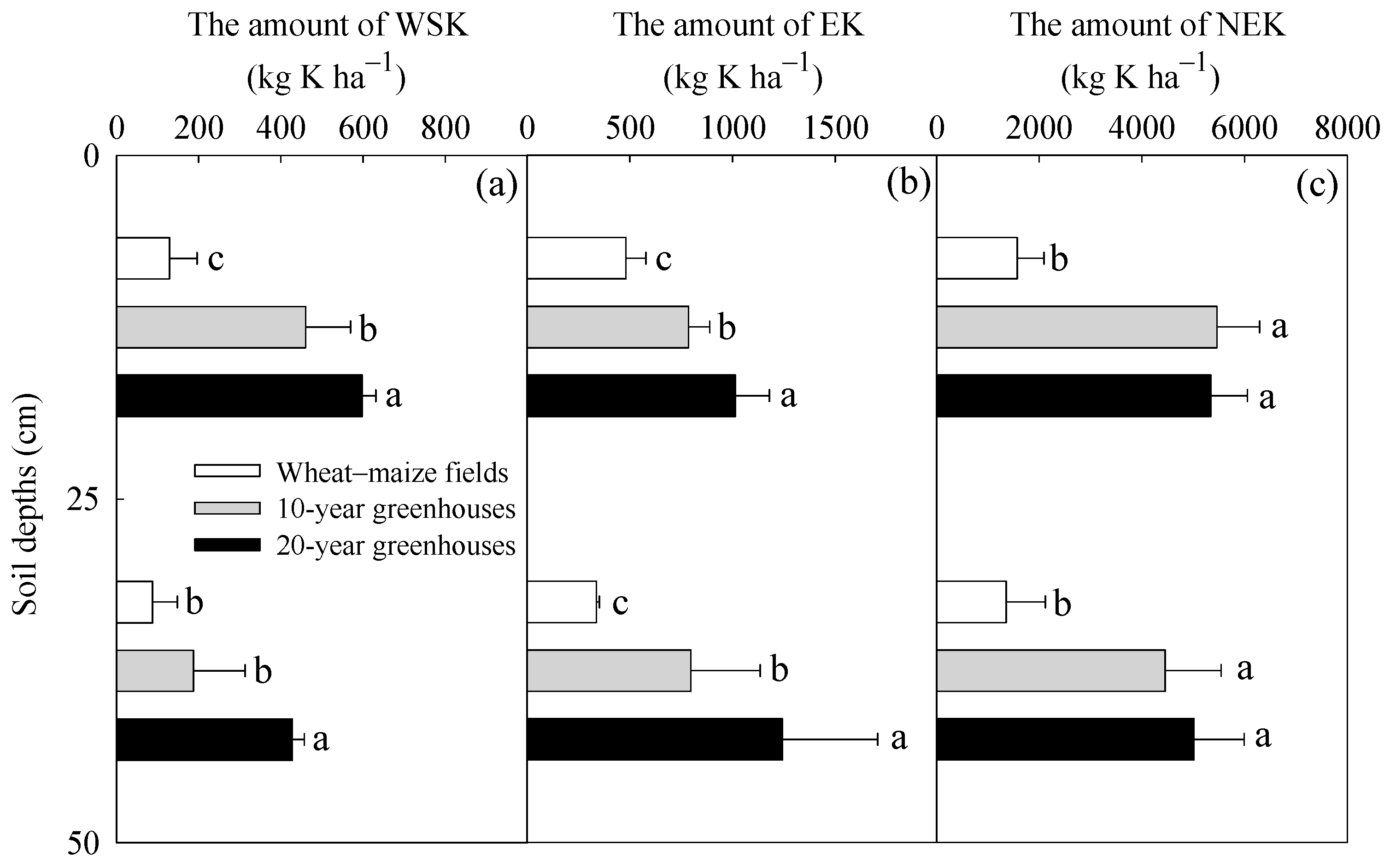 Agronomy 14 01060 g004